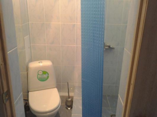 Фото Тюльпан