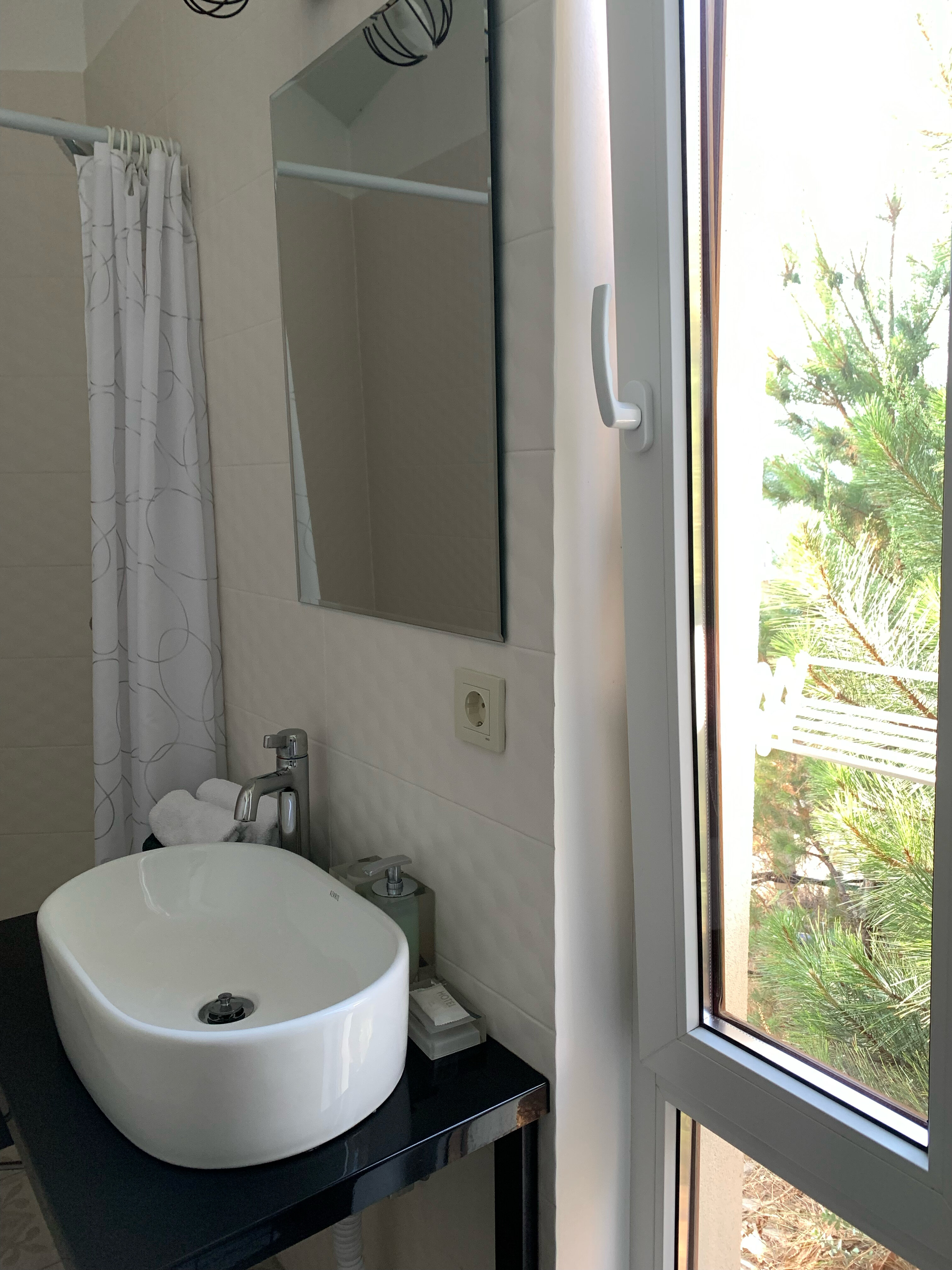 Фото Кипарис