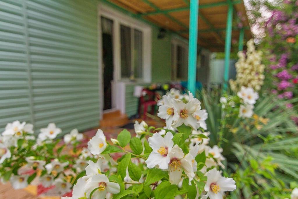 Фото Green House