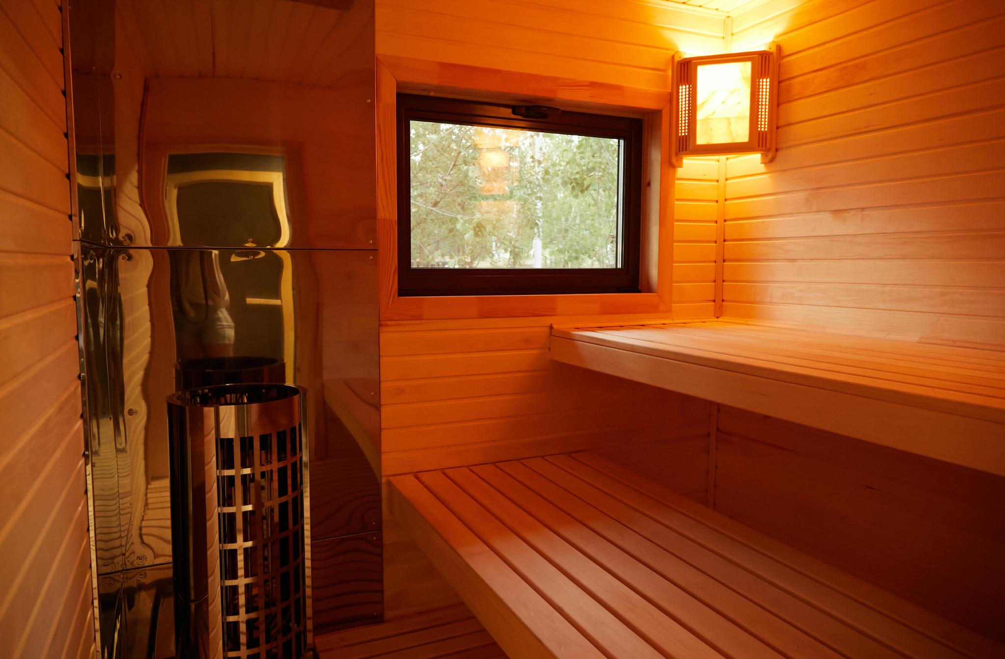 Фото Бобры и Утки