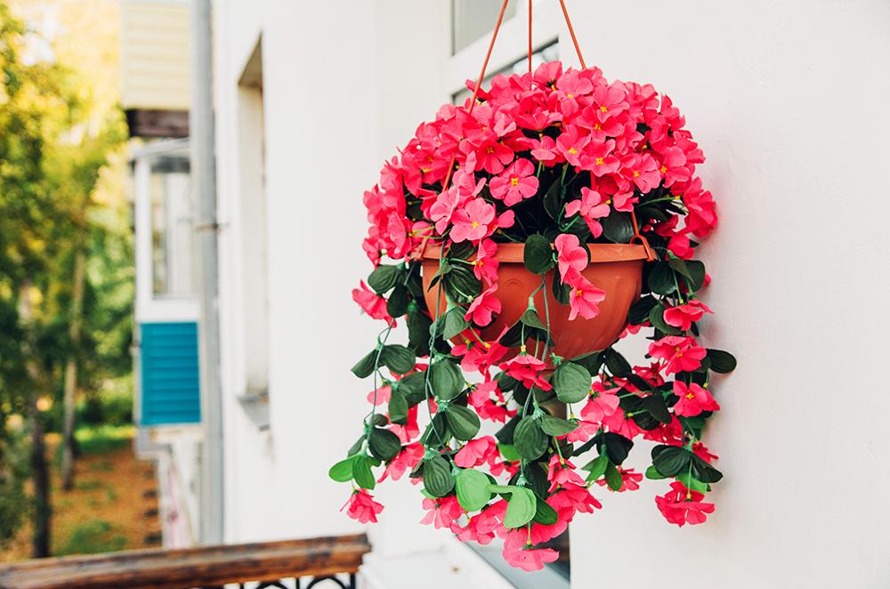 Фото Бомонд