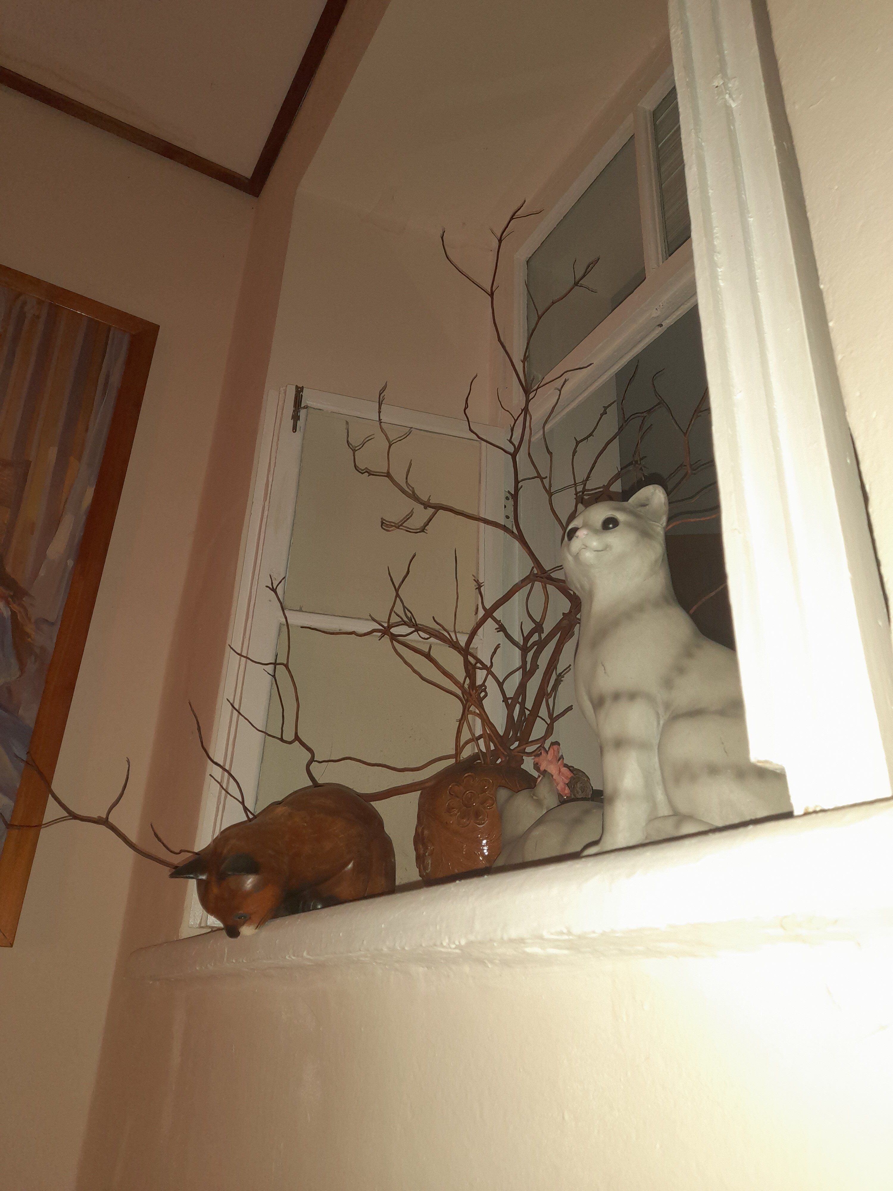 Фото Ливада