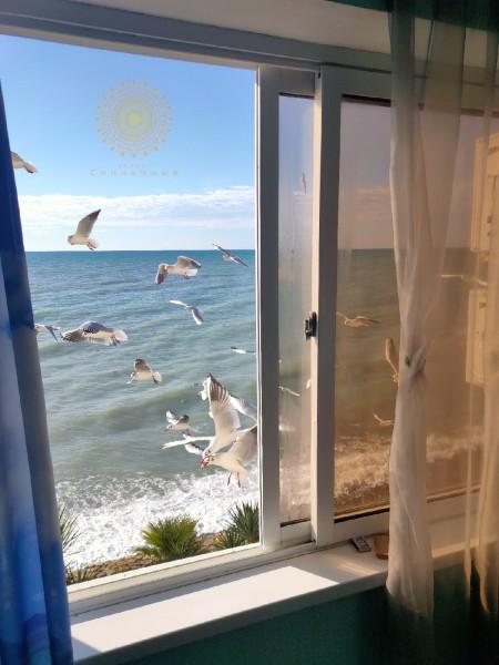 Фото Солнечный