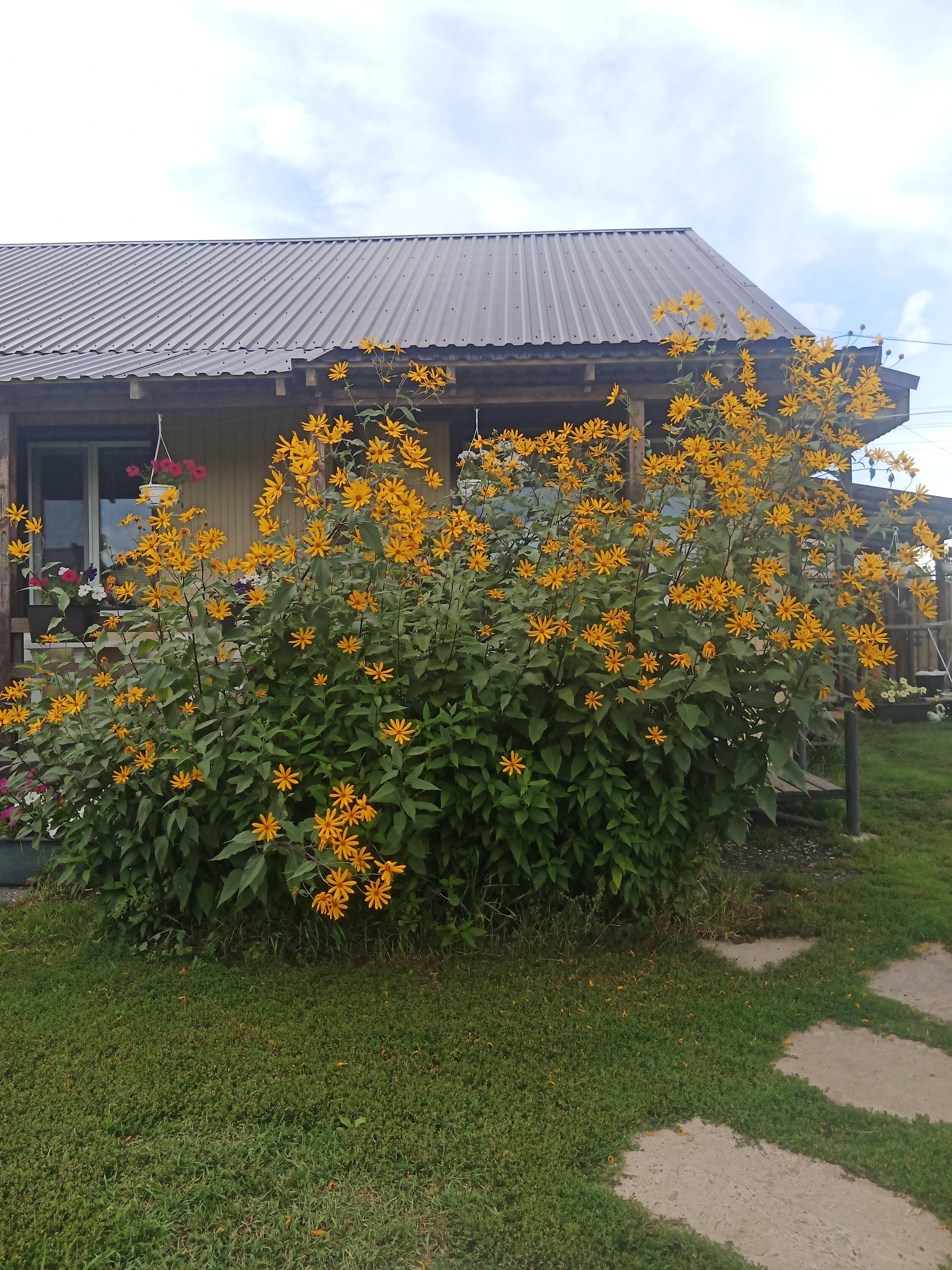 Фото Медвежье