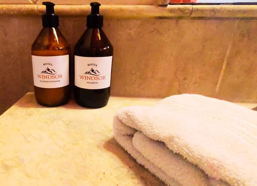 Фото Hotel Windsor