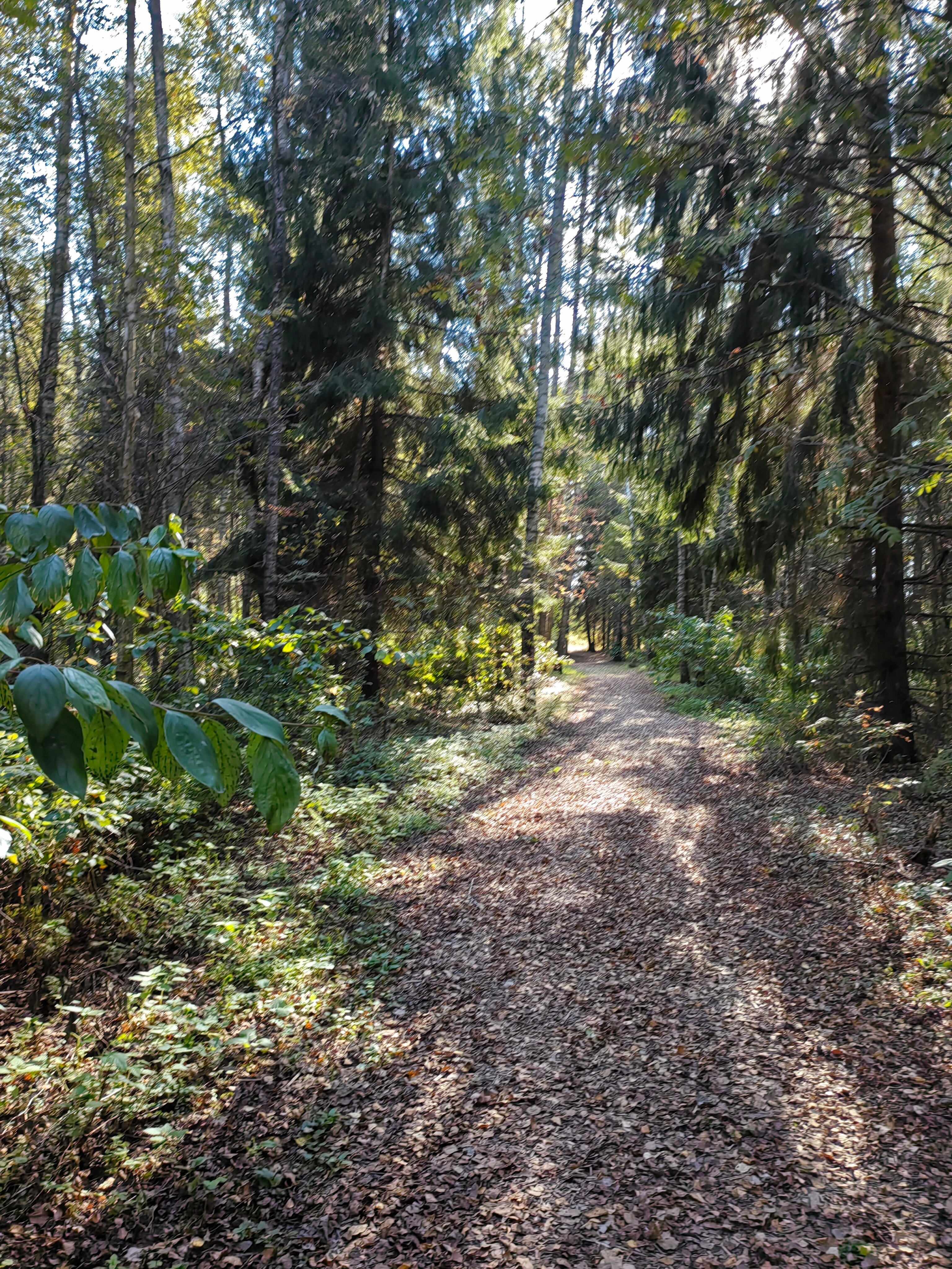 Фото Михеево Старт