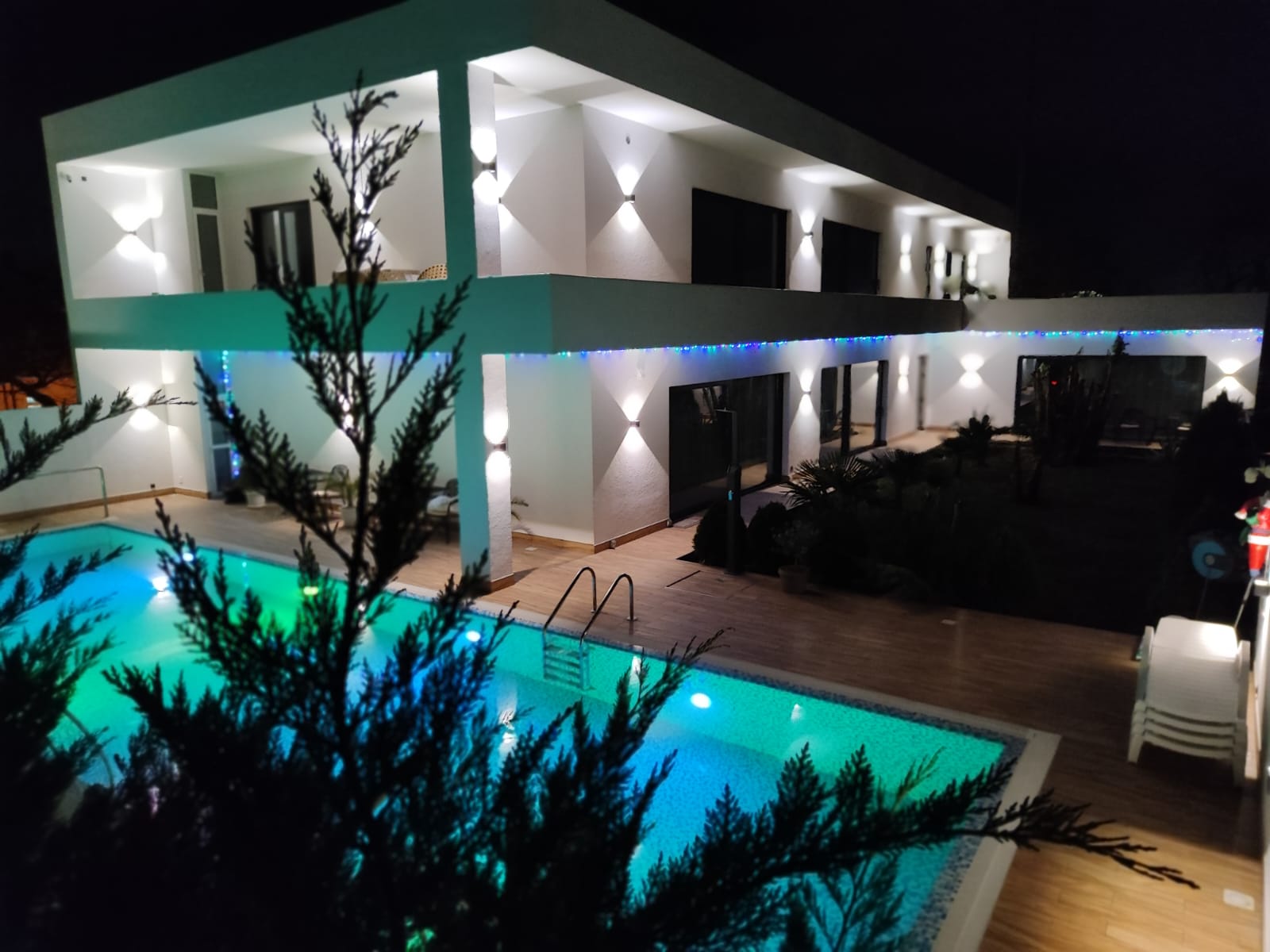 Фото Аристо