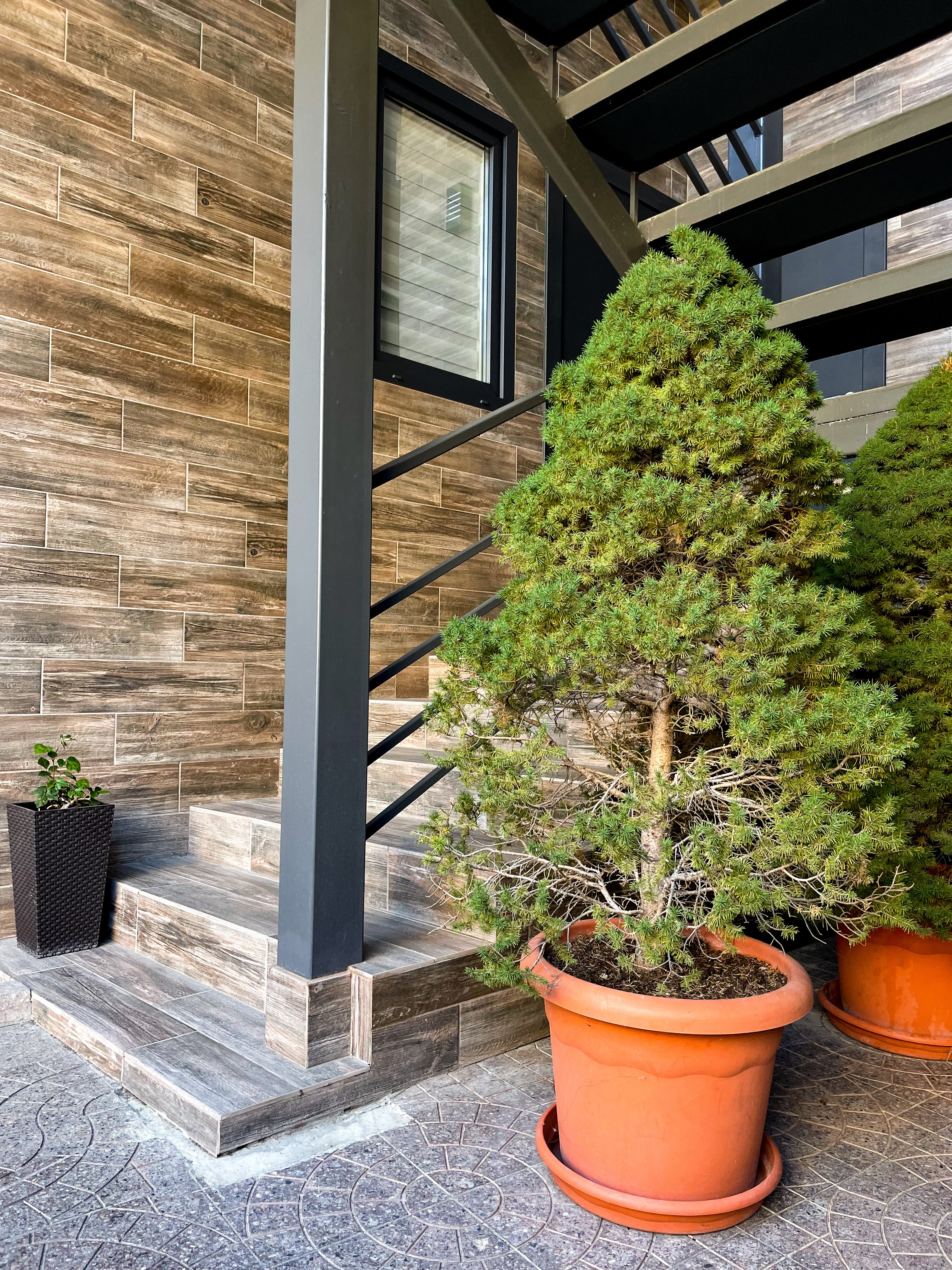 Фото У Анны