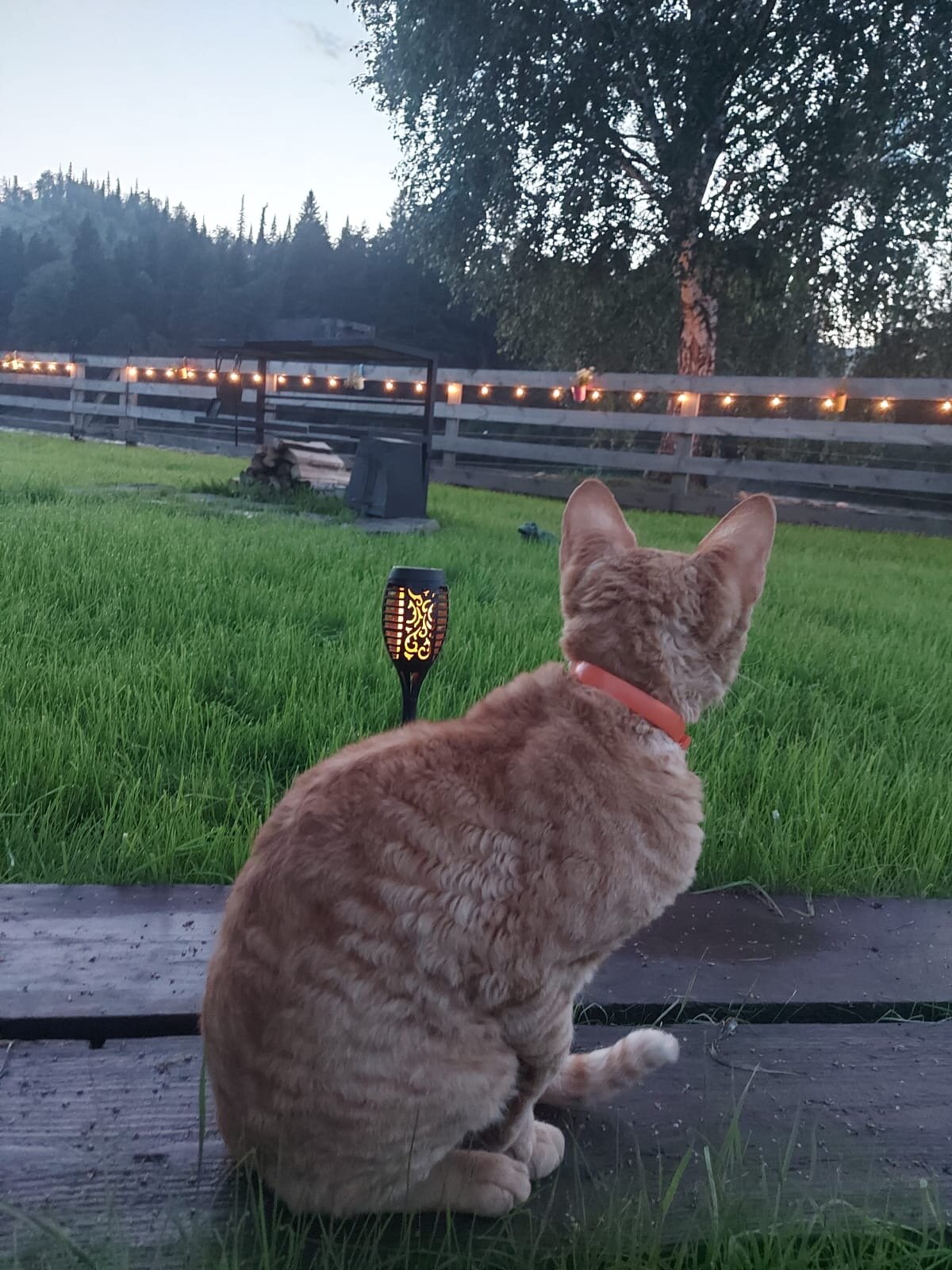 Фото Жемчужина Зилима