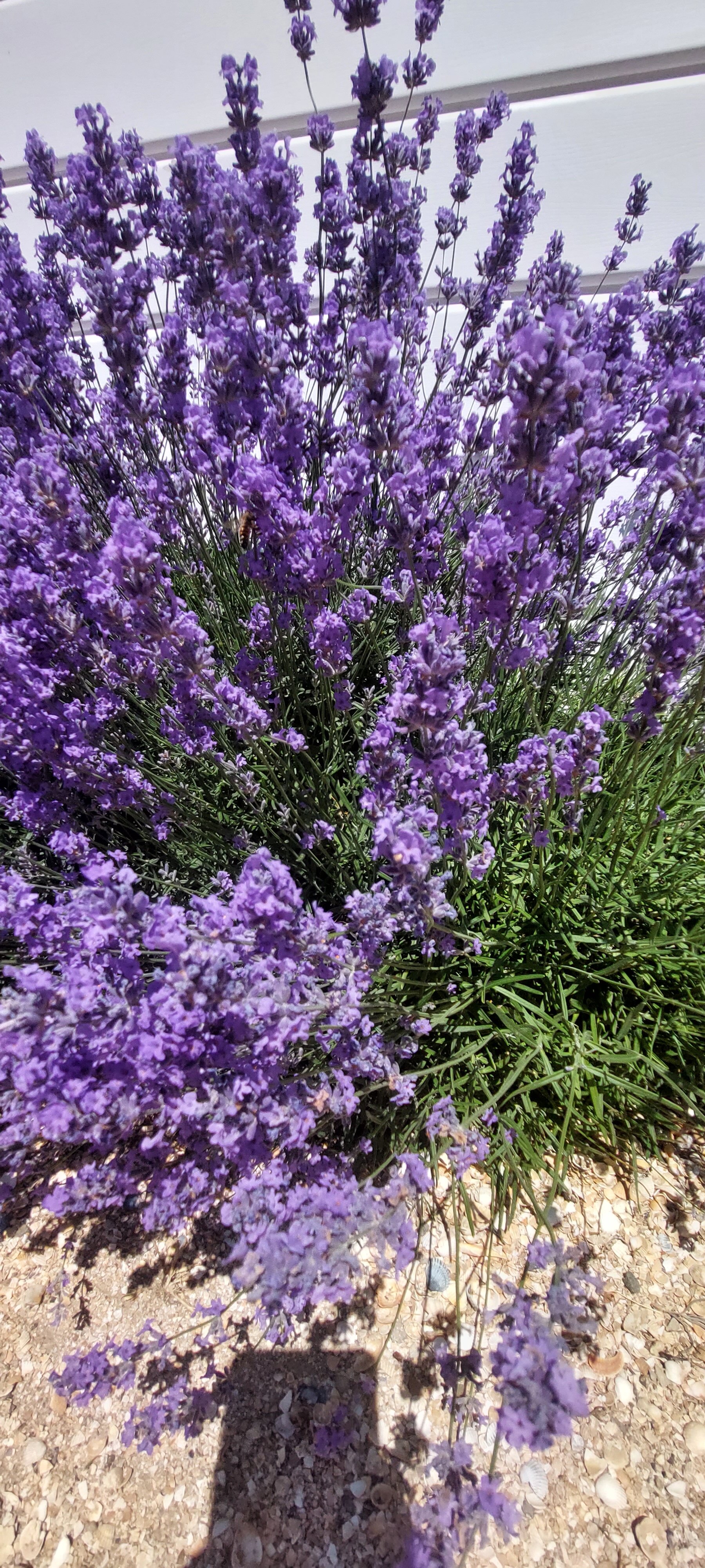 Фото Песчаный Берег