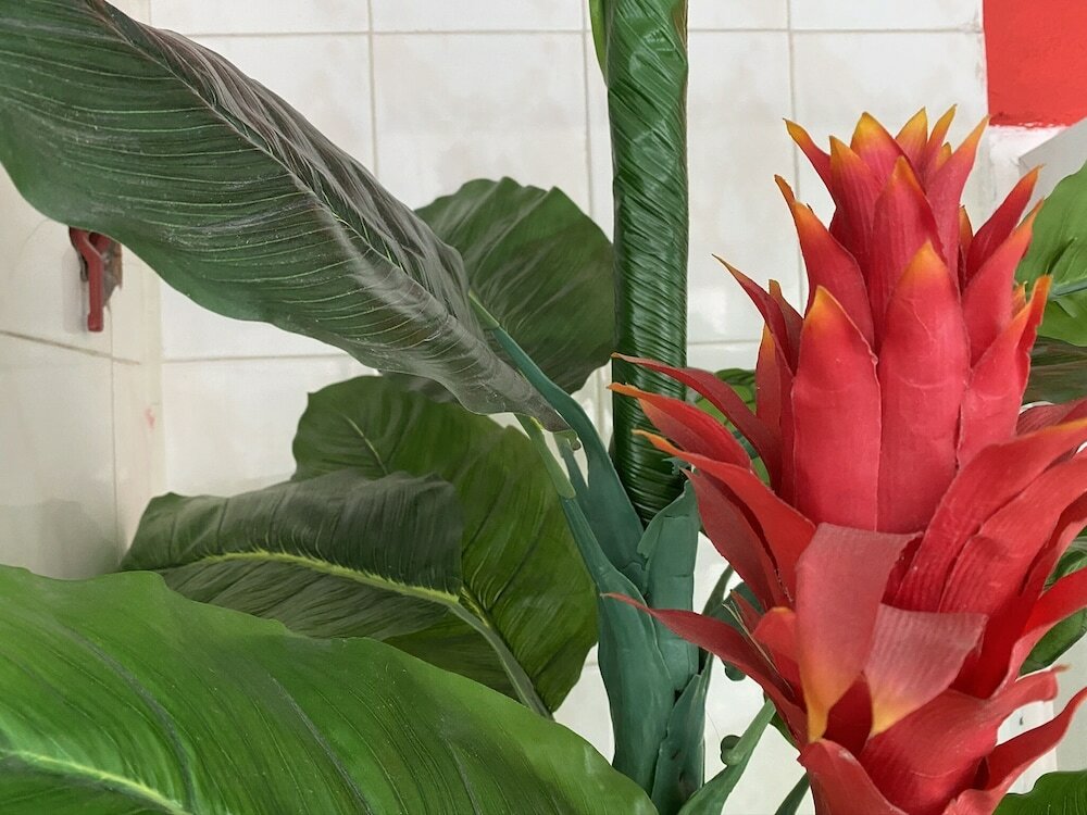 Фото Braganca Oporto Hotel