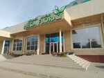 Mega Flora (12th microdistrict, 16Г) ، محل زهور