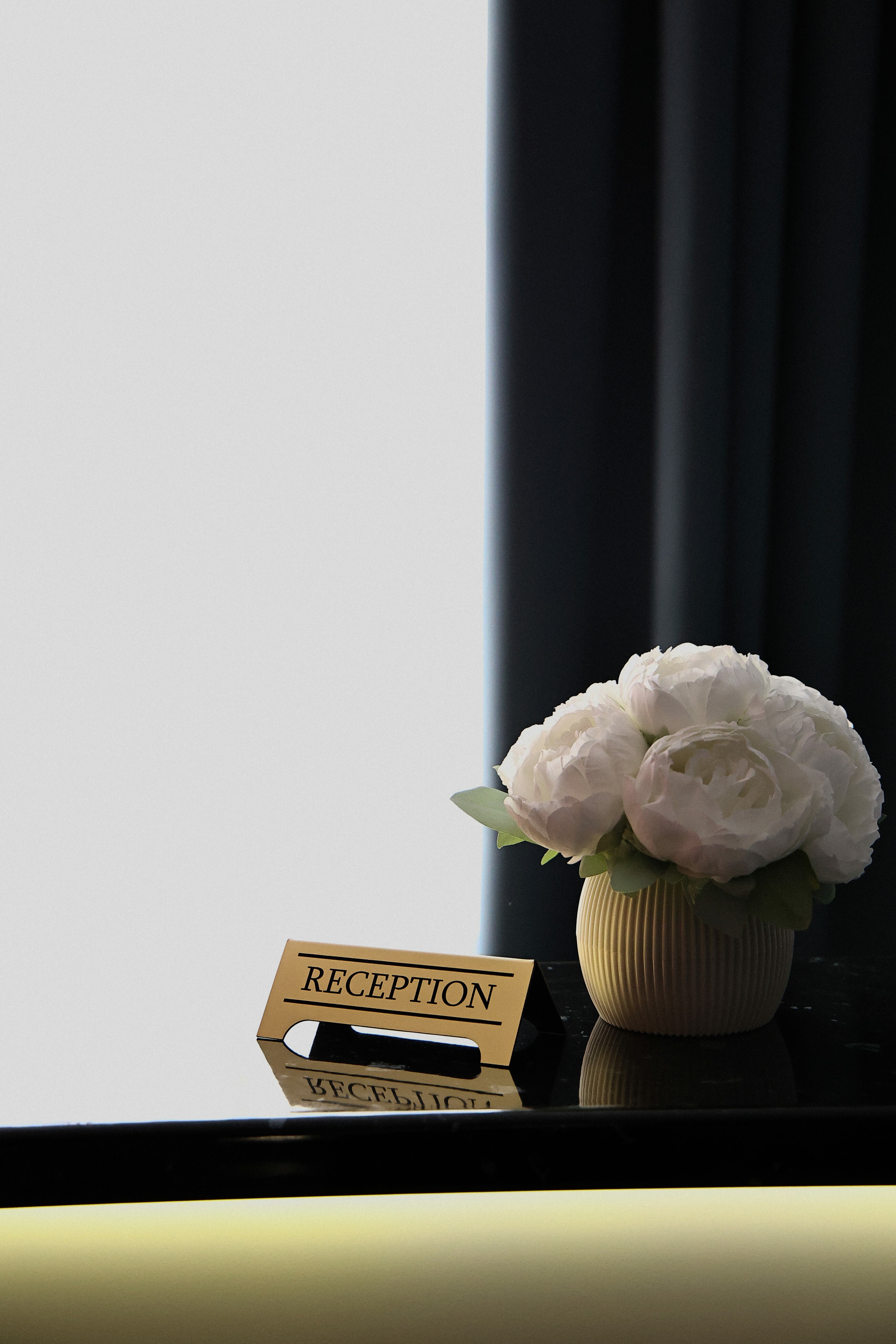 Фото Голден Норрис