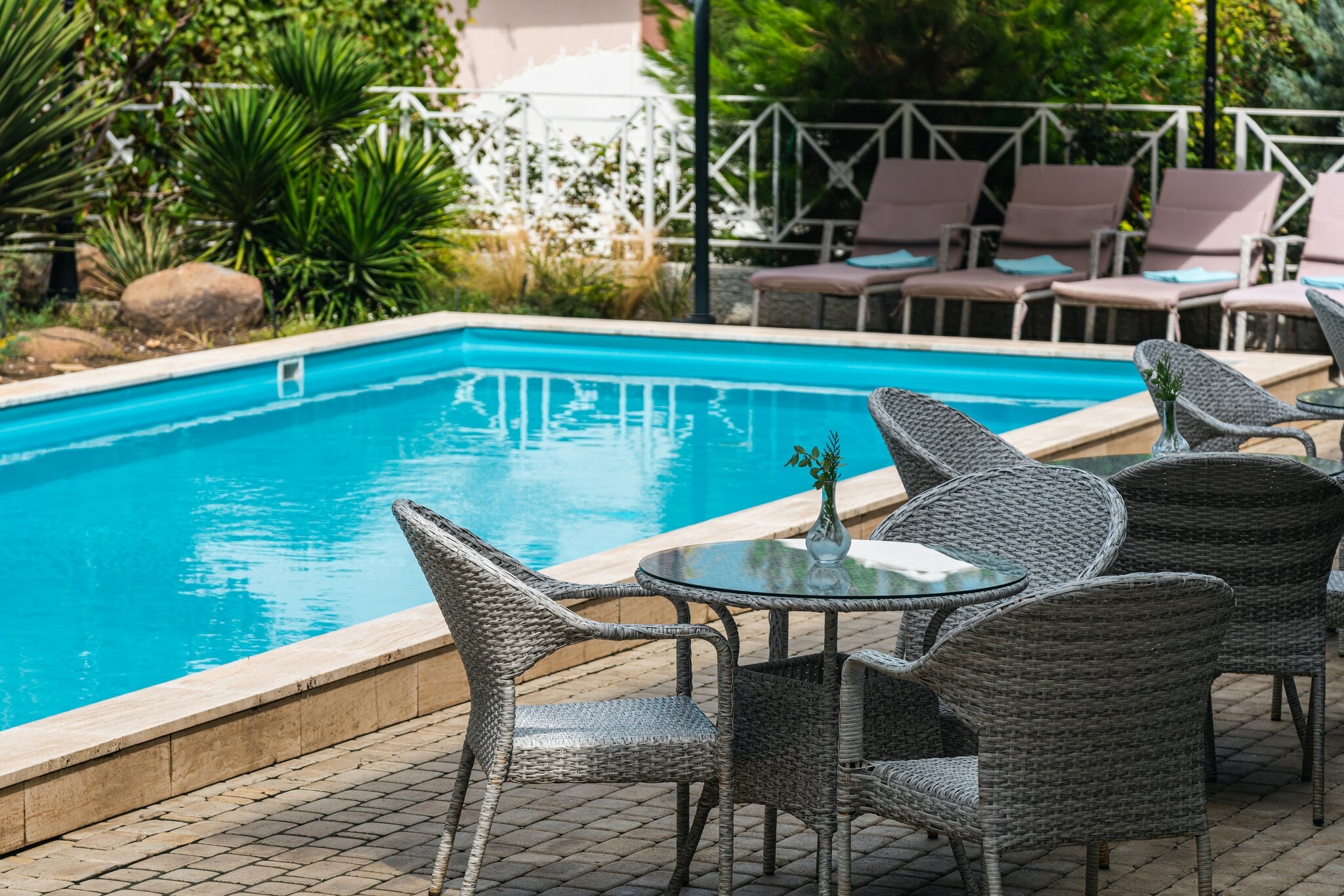 Фото Розмарин