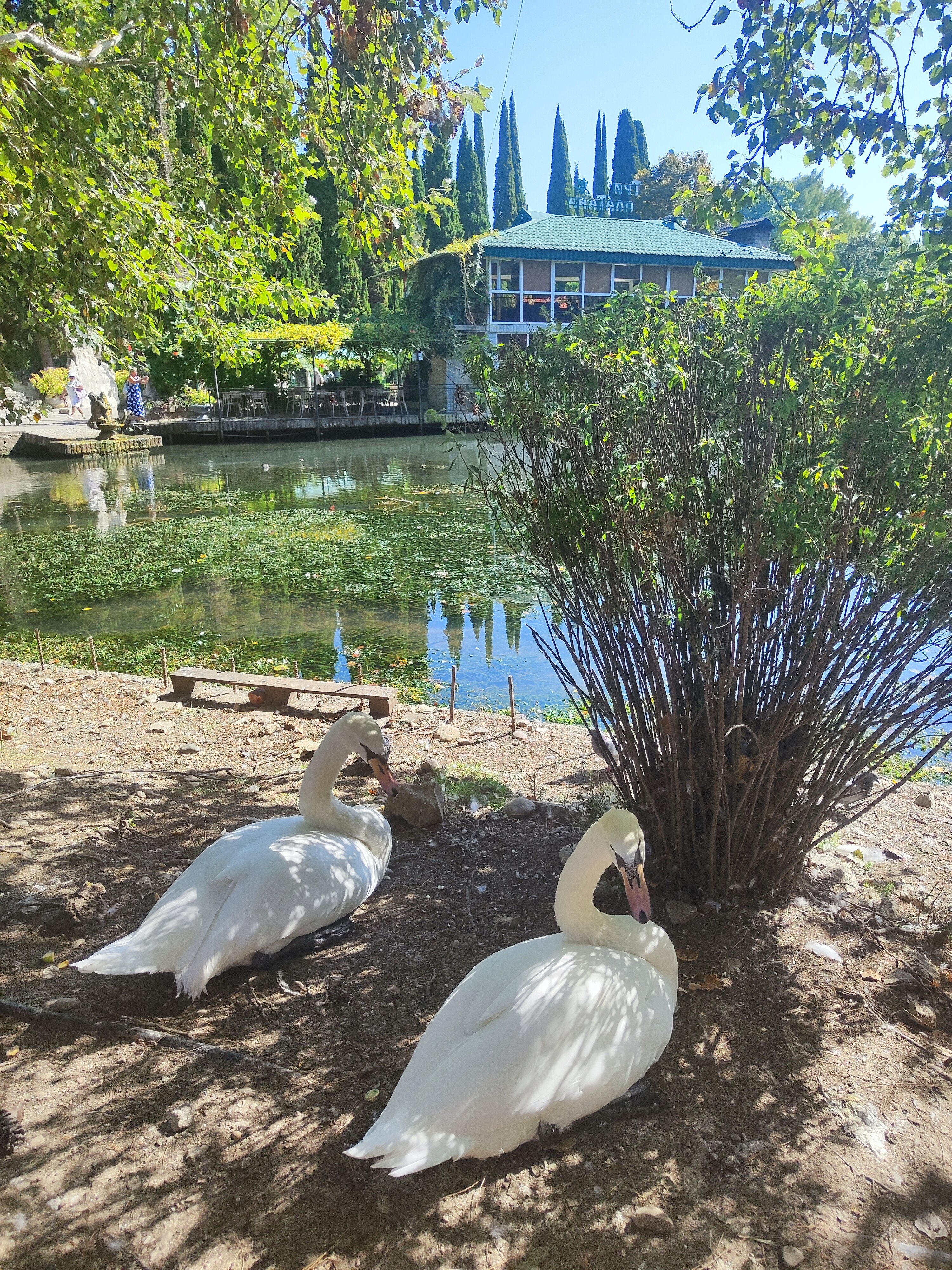 Фото Родина