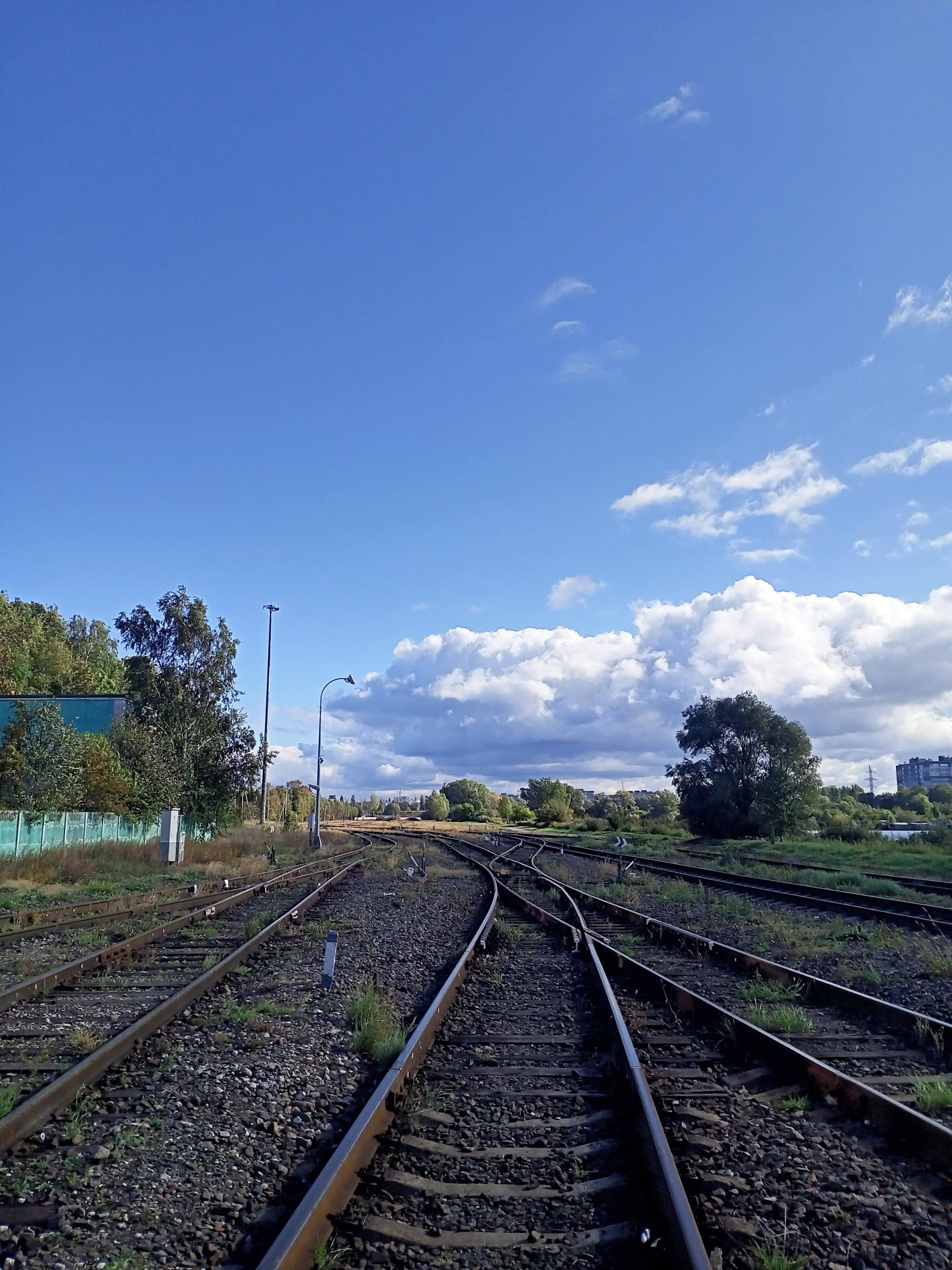 Фото Порт 55