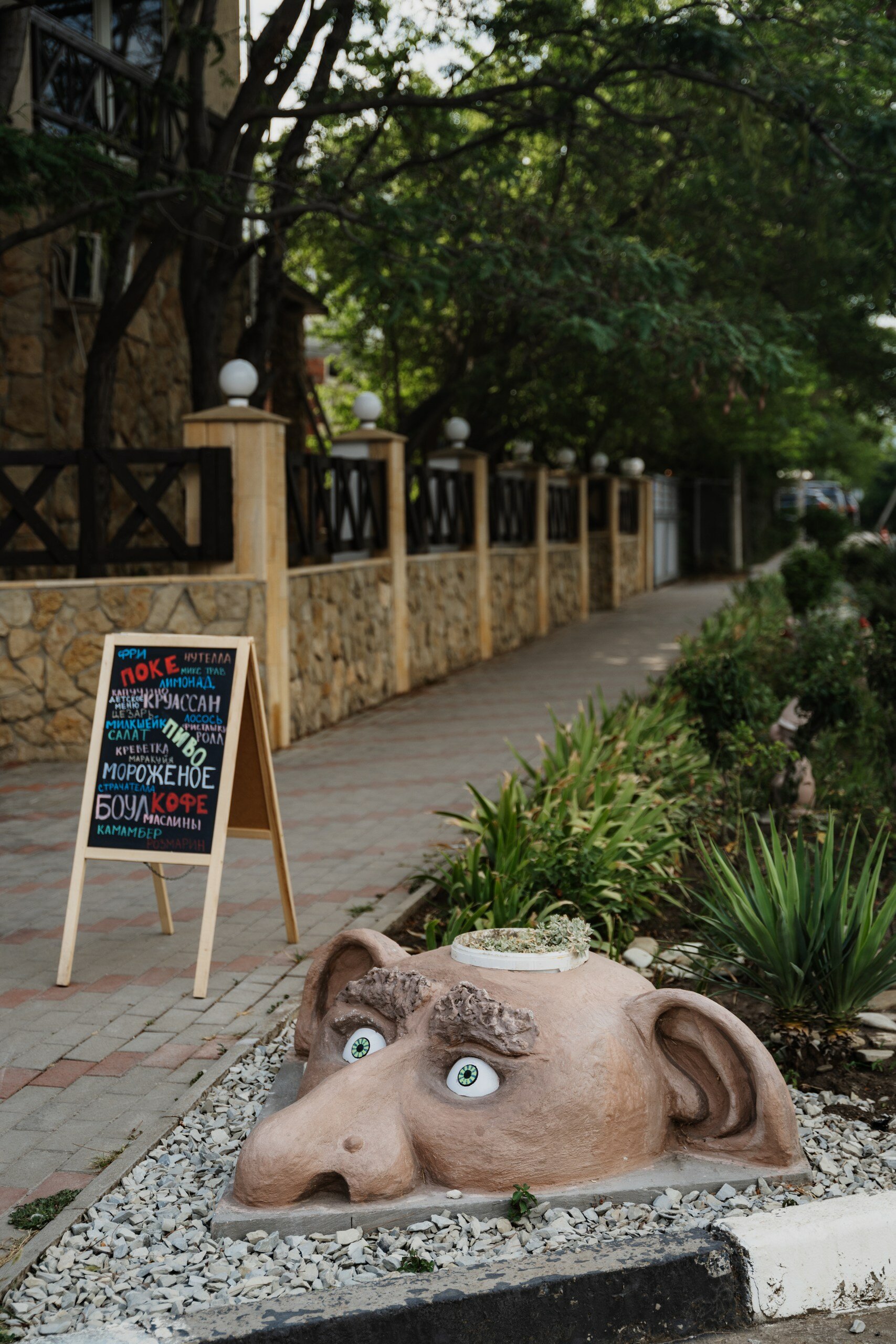 Фото Большая Черепаха