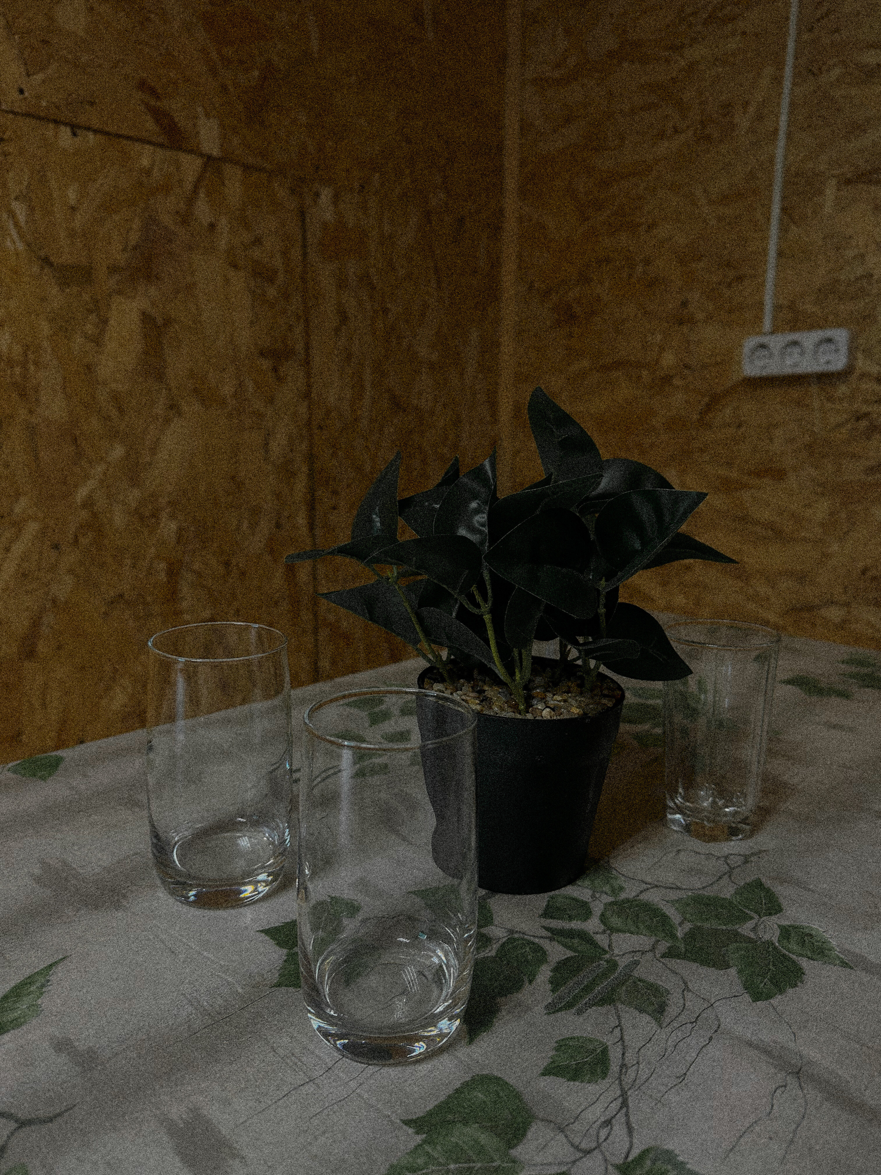 Фото Тихая Гавань