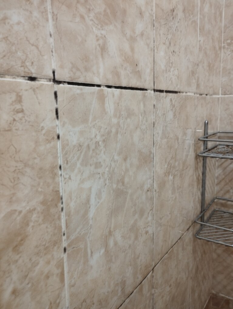 Фото Орхидея