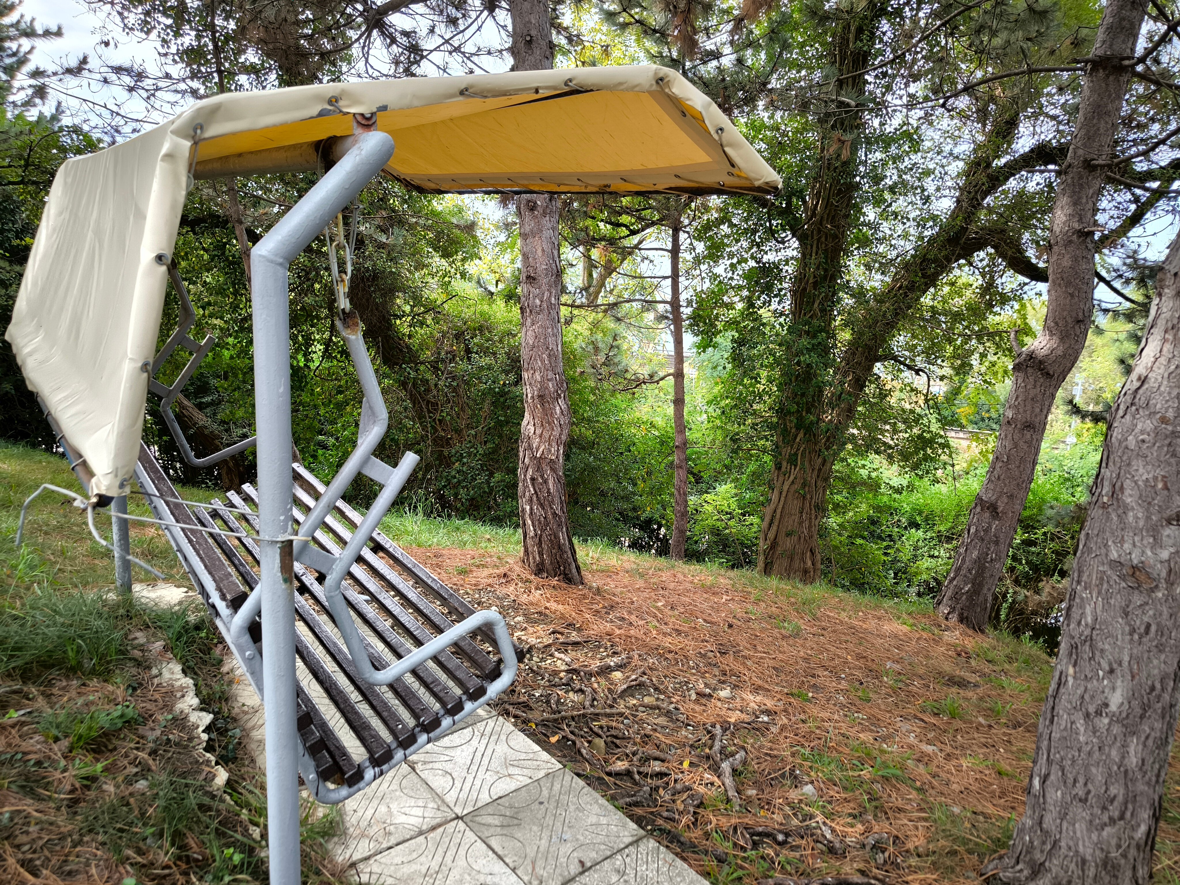 Фото Azimut Здоровье Ивушка