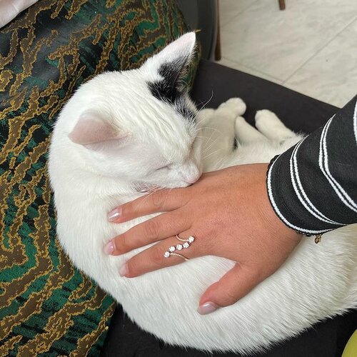 Başlı Kuyumculuk Fotoğraf 3