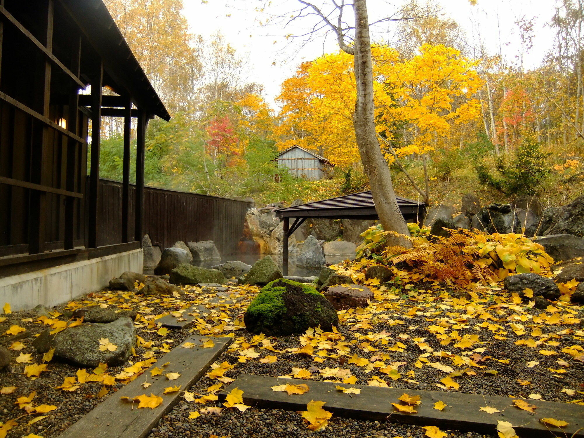Фото Niseko Annupuri Onsen Yugokorotei