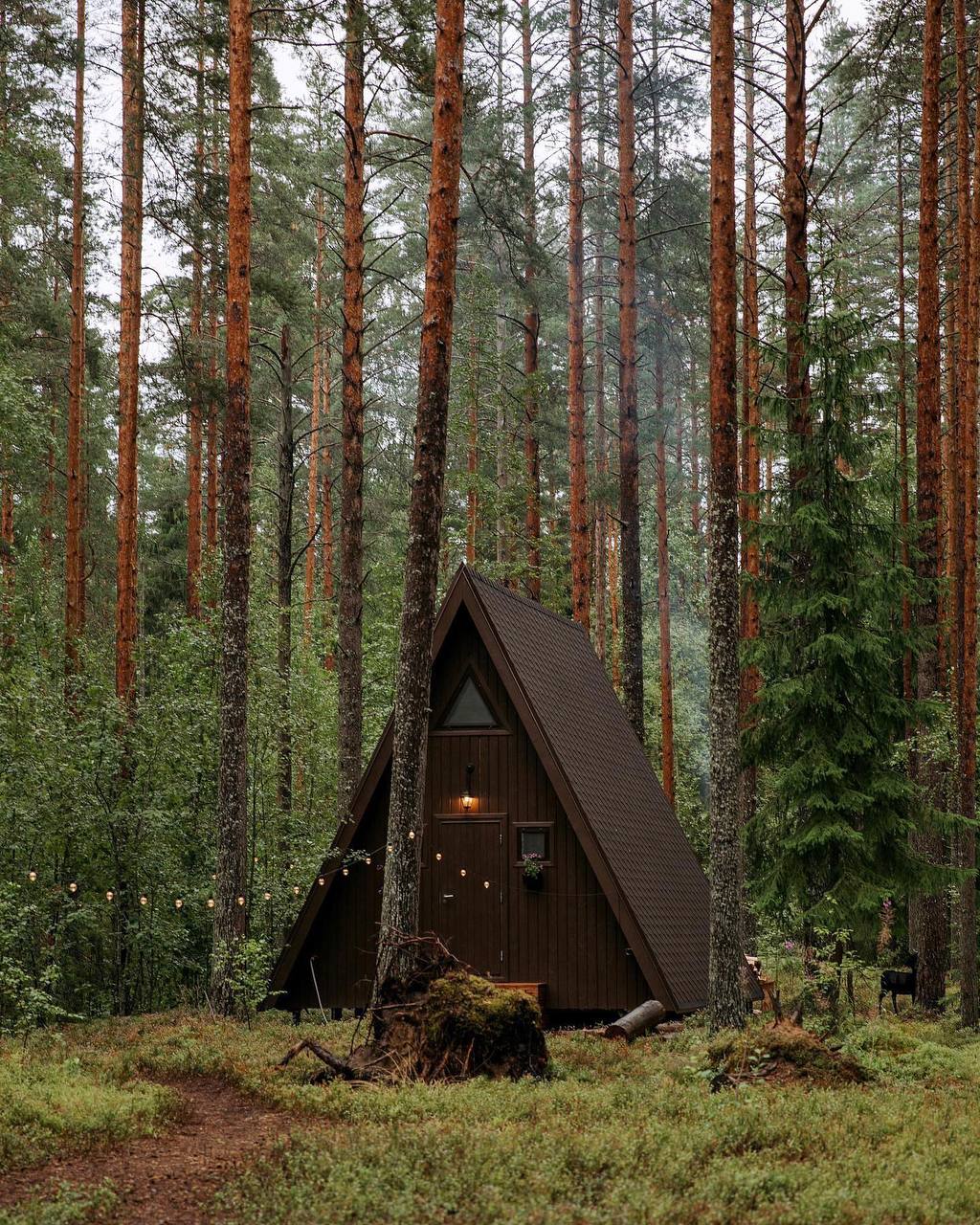 Фото Shanti Home Les