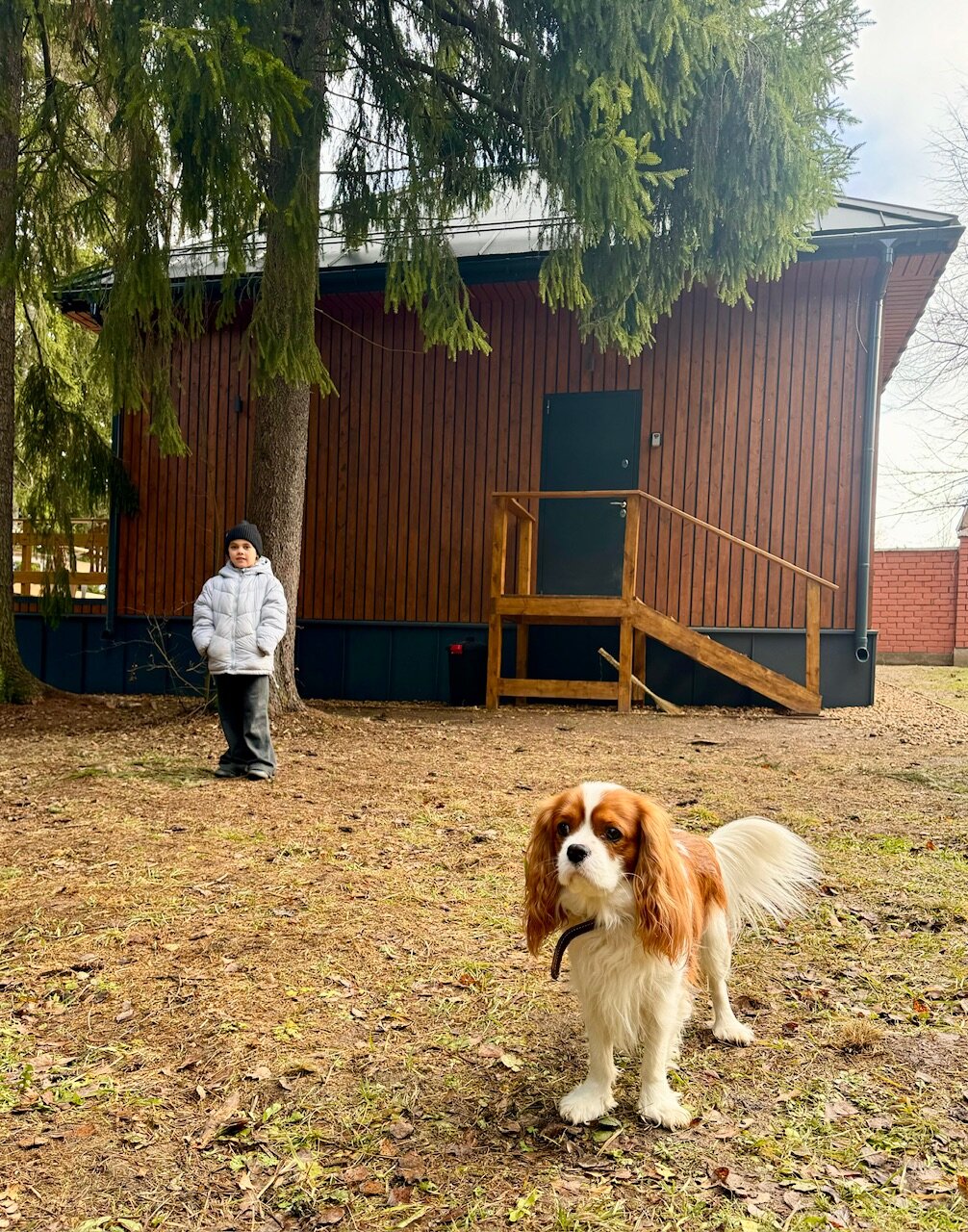 Фото Дом и Елки