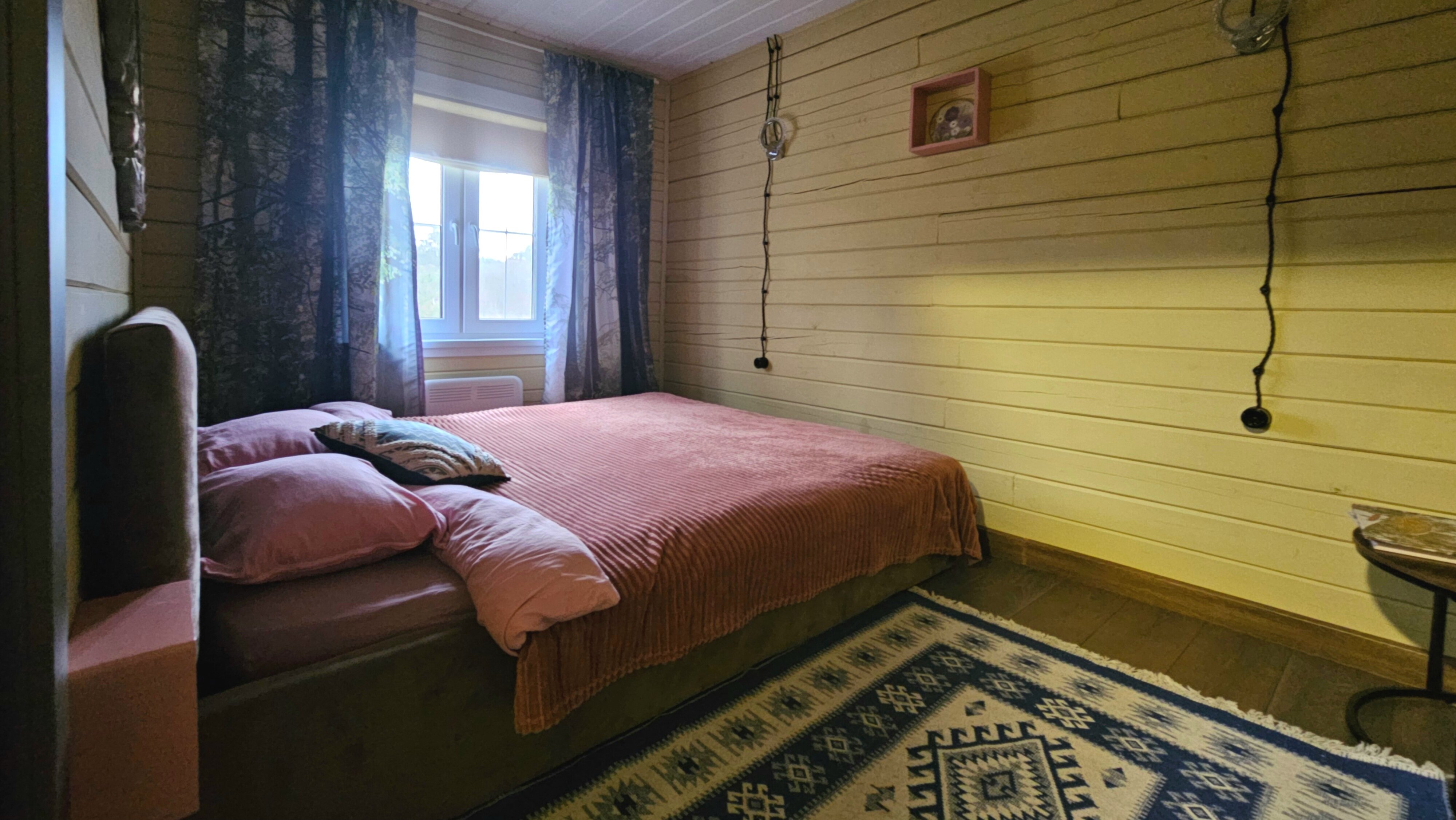 Фото Олин лес