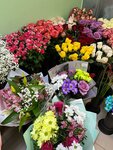 Cvetochnaylavka (ulitsa Zosima Serogo, 12), flower shop