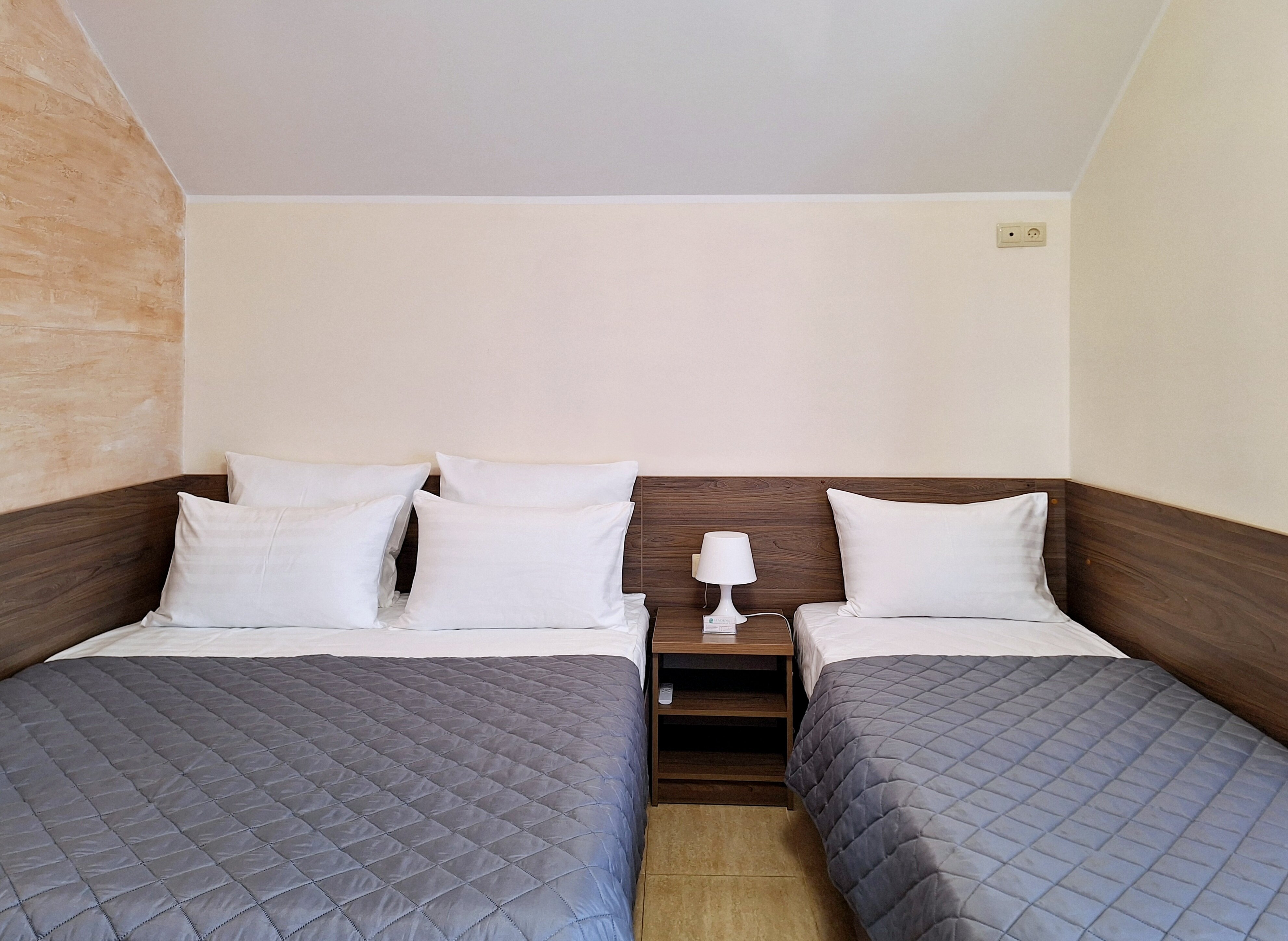 Фото Марион-1