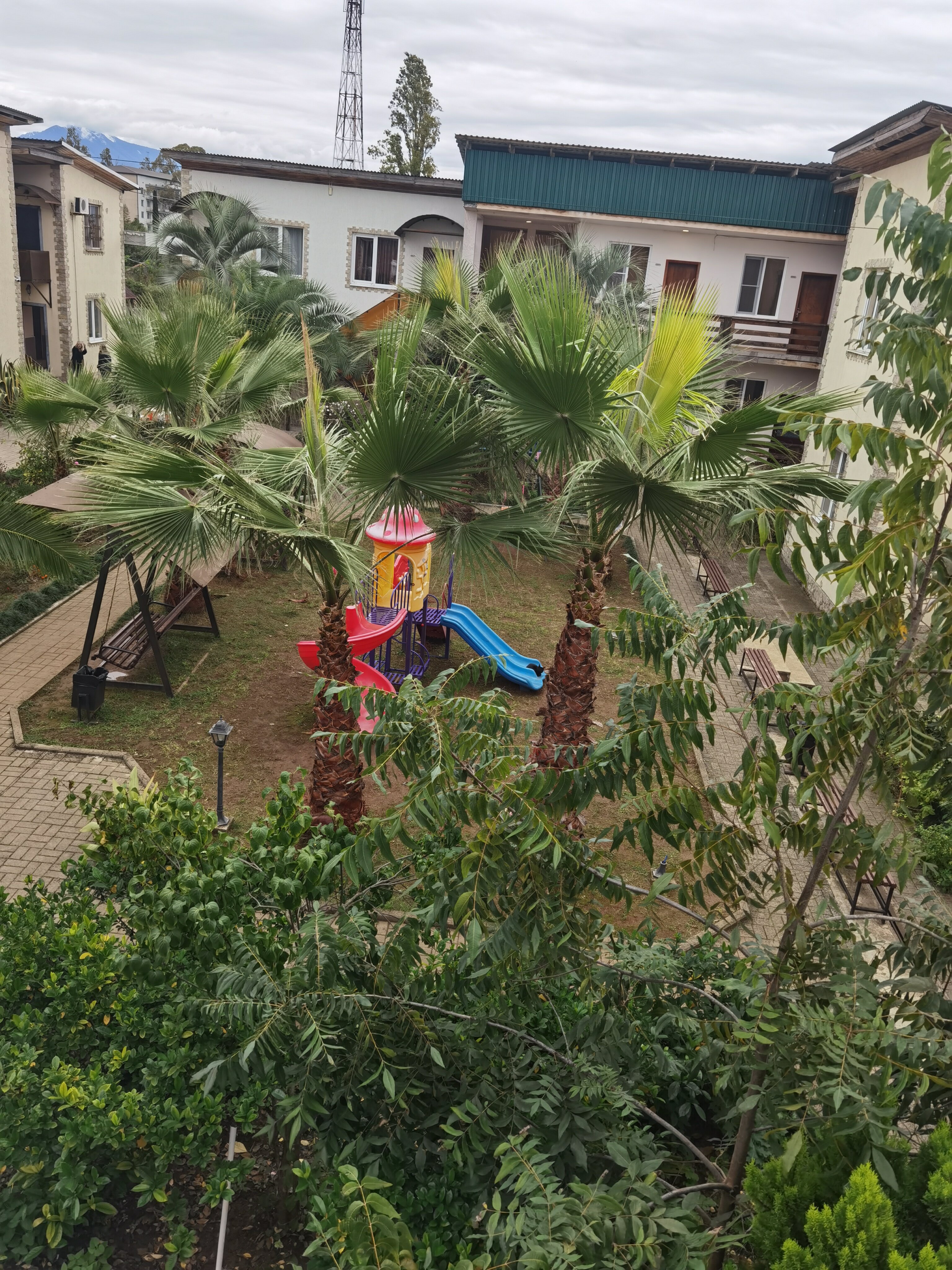 Фото Дени Дельмар