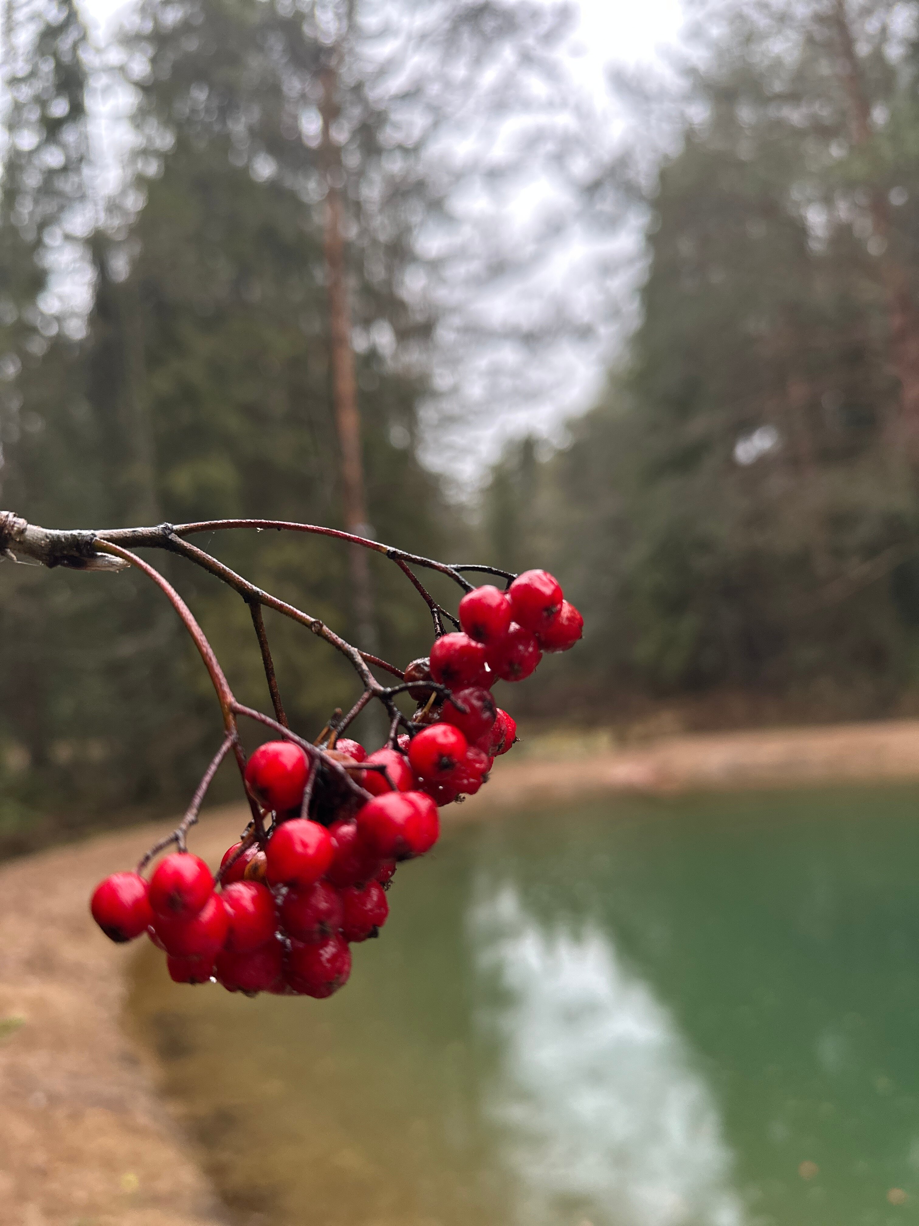 Фото Дом отдыха