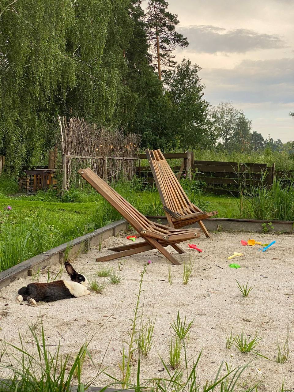 Фото Проект Vozdukh