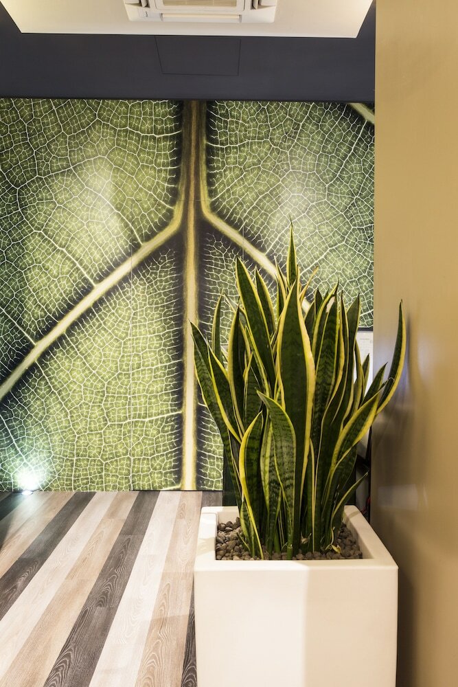 Фото Serendipity Rooms