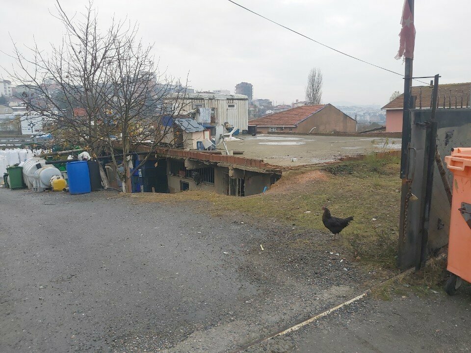 Real estate agency Konak Real Estate & Construction, Istanbul, photo