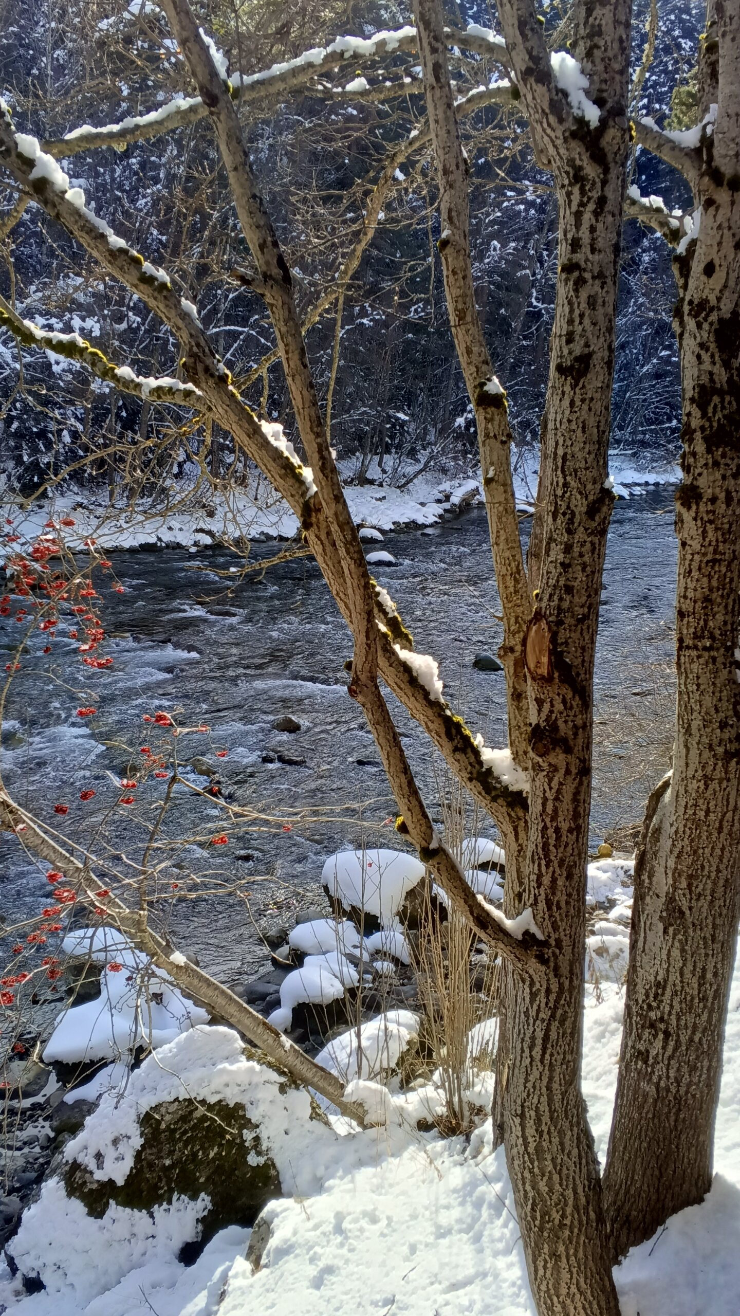 Фото Красная скала