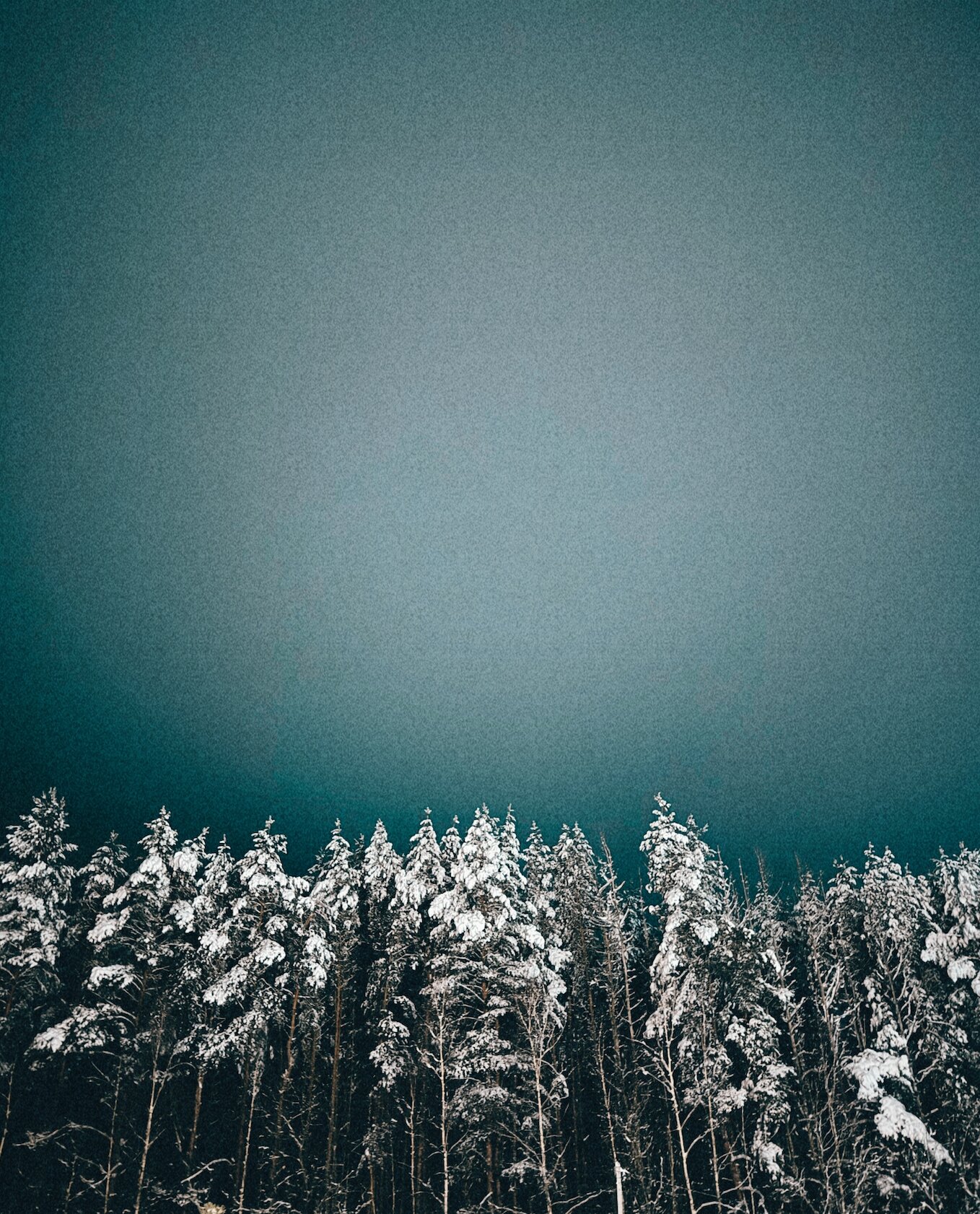 Фото Домики и доски