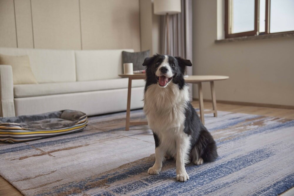 Фото Element Beijing Yanqing