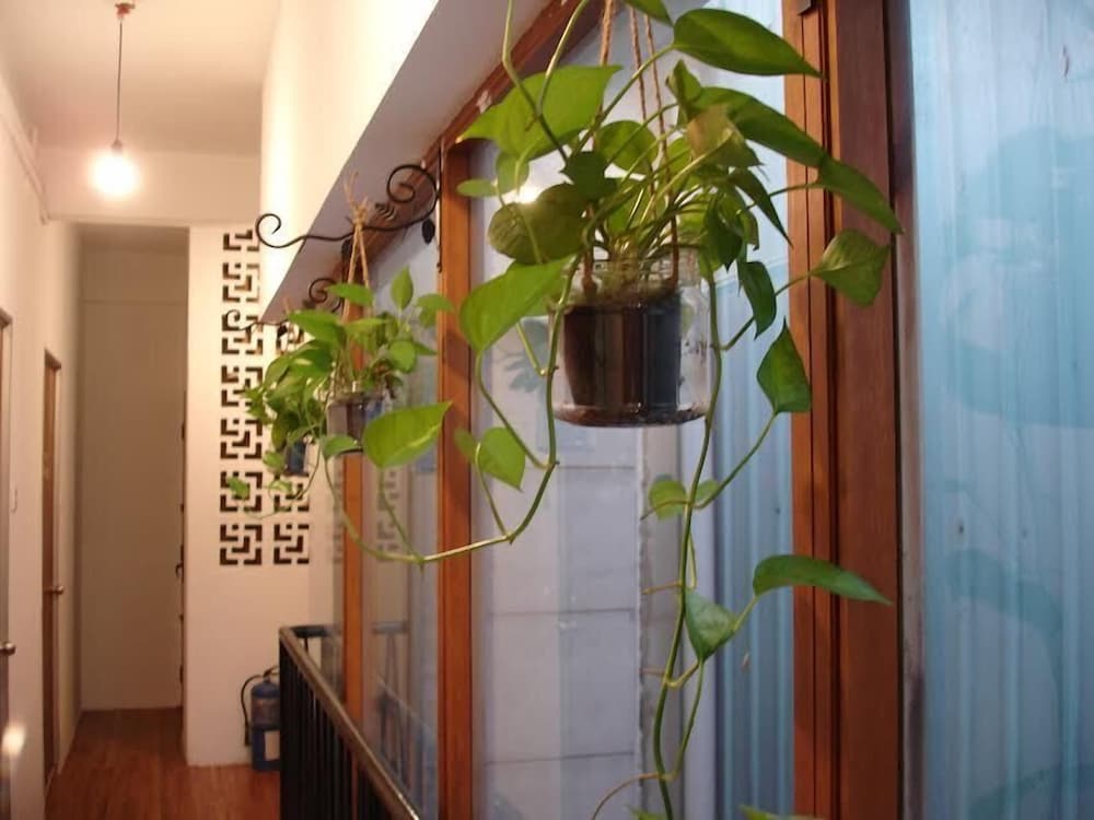 Фото The Bodhi Lodge - Hostel