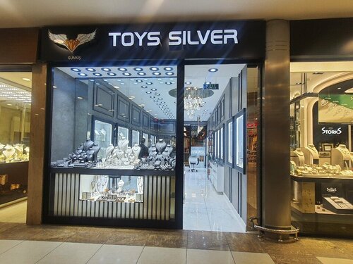 Toys Silver Fotoğraf 1