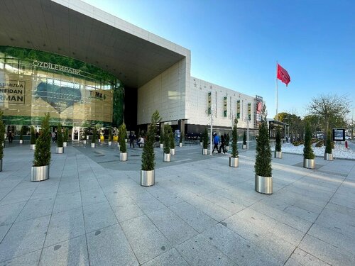 Blue Diamond Fotoğraf 3