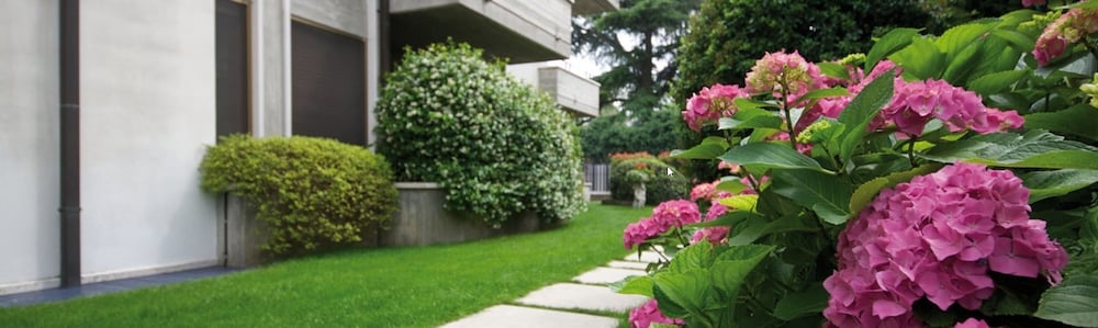 Фото Villa Terri