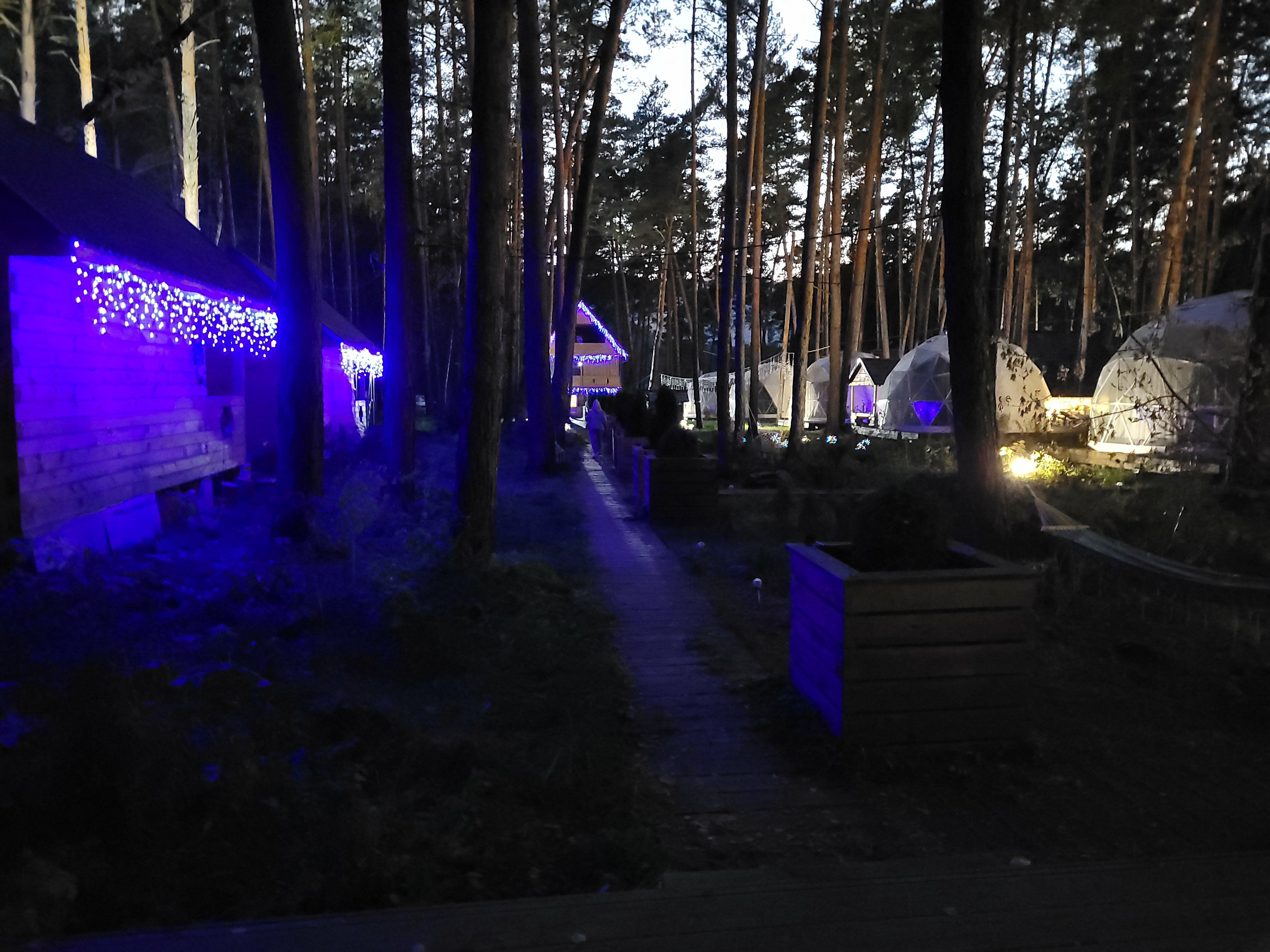 Фото Купольная база Royal Forest