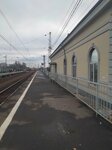 Faustovo Station (Moscow Region, Voskresensk Urban District, selo Faustovo), train station