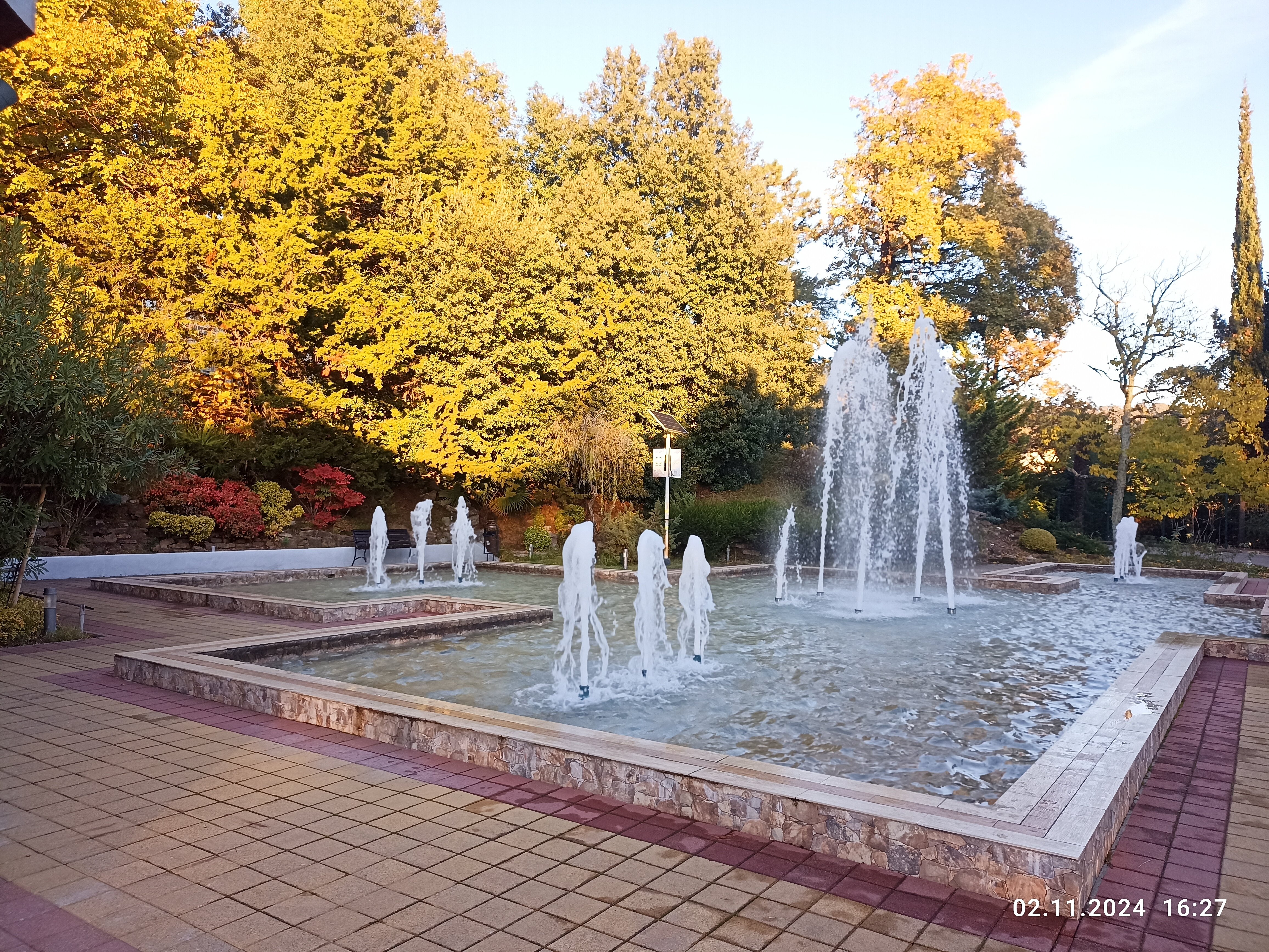 Фото Зелёная роща