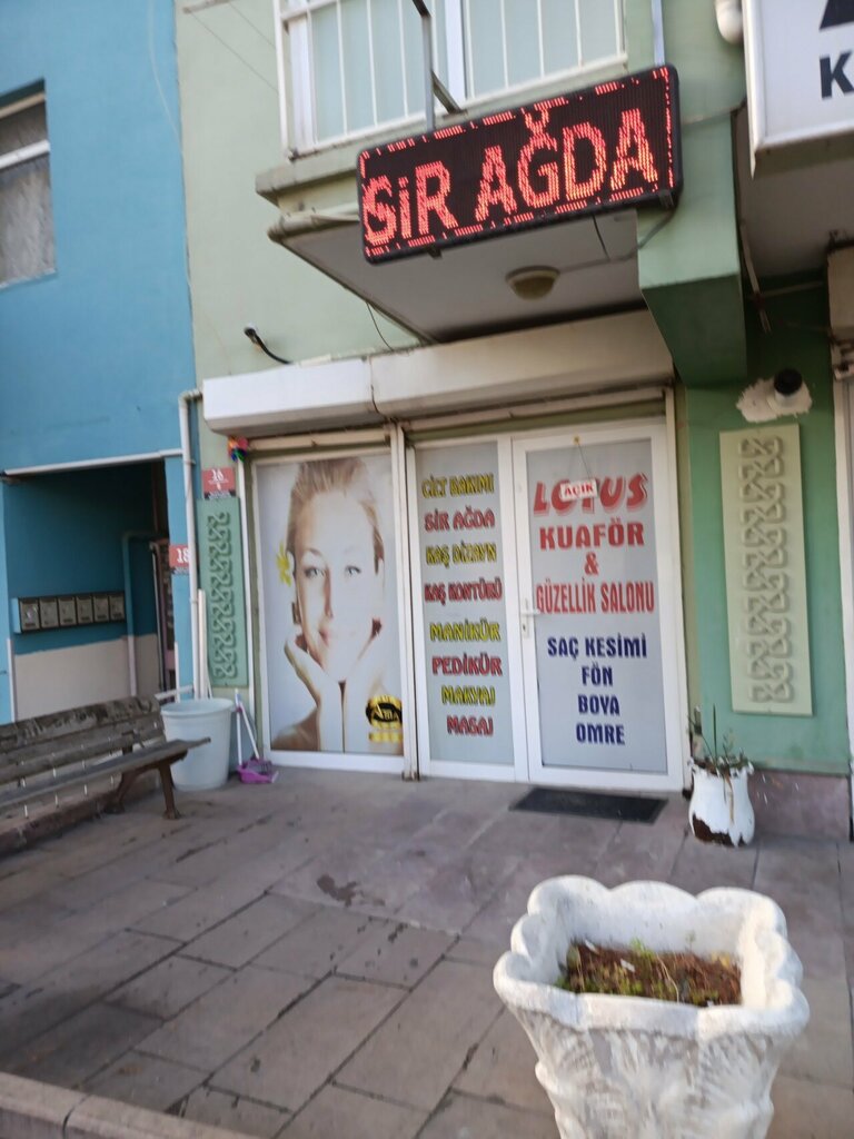 Peluquería Lotus Hairdresser and Beauty Salon, , foto