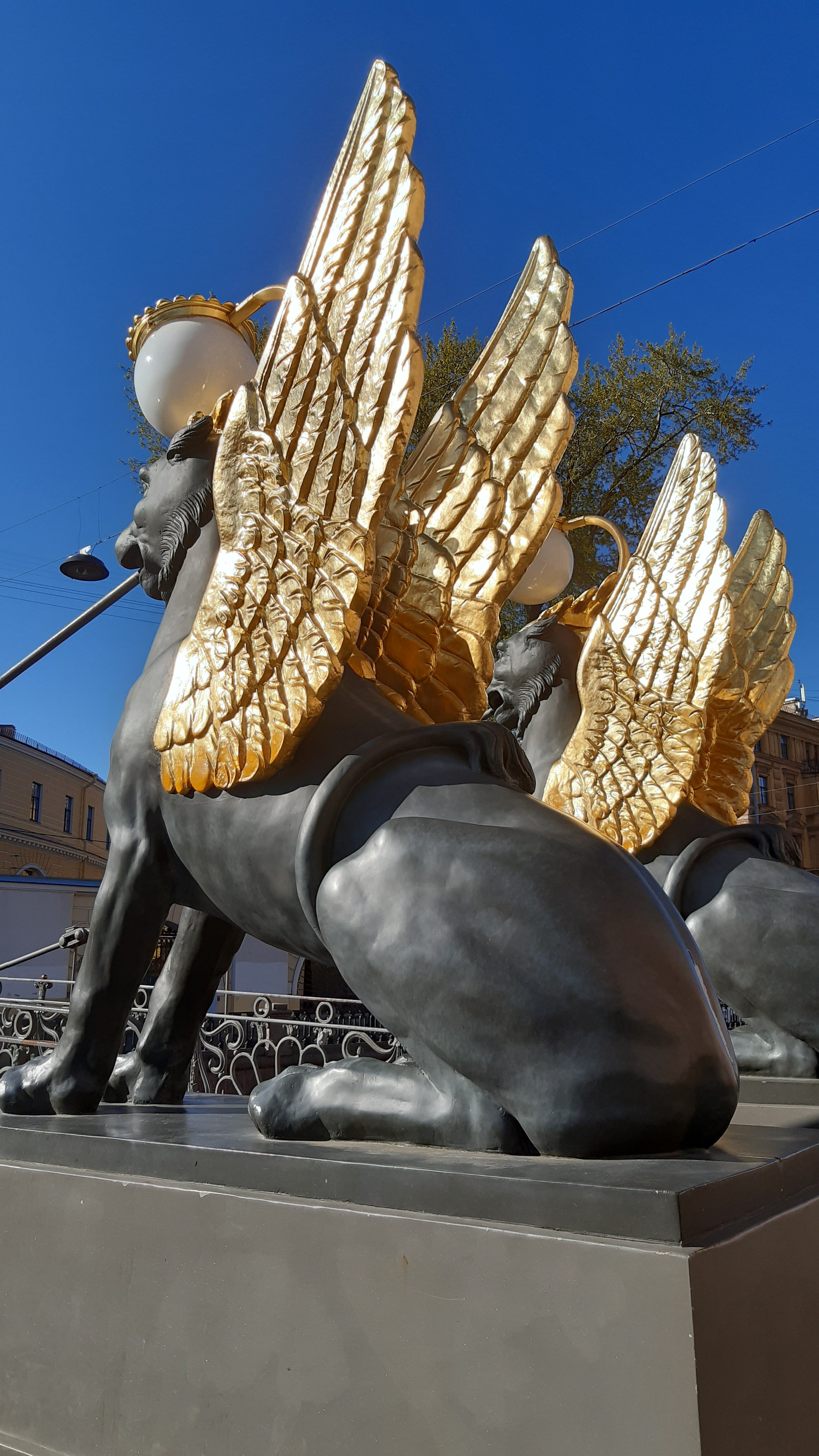 Фото Рапсодия
