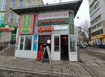 Coral Travel (Ufa, ulitsa Sofyi Perovskoy, 21), travel agency