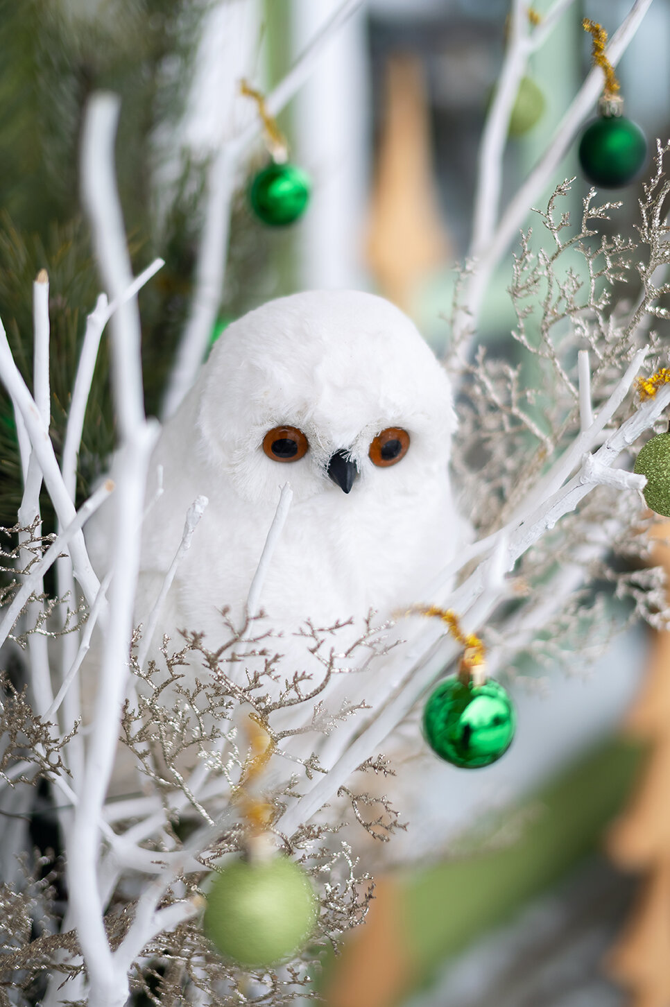 Фото Отель Зелёная Сова